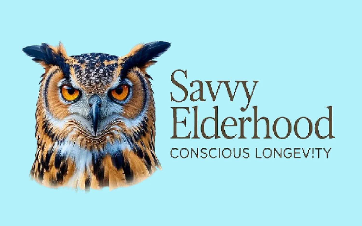 Savvy Elderhood
