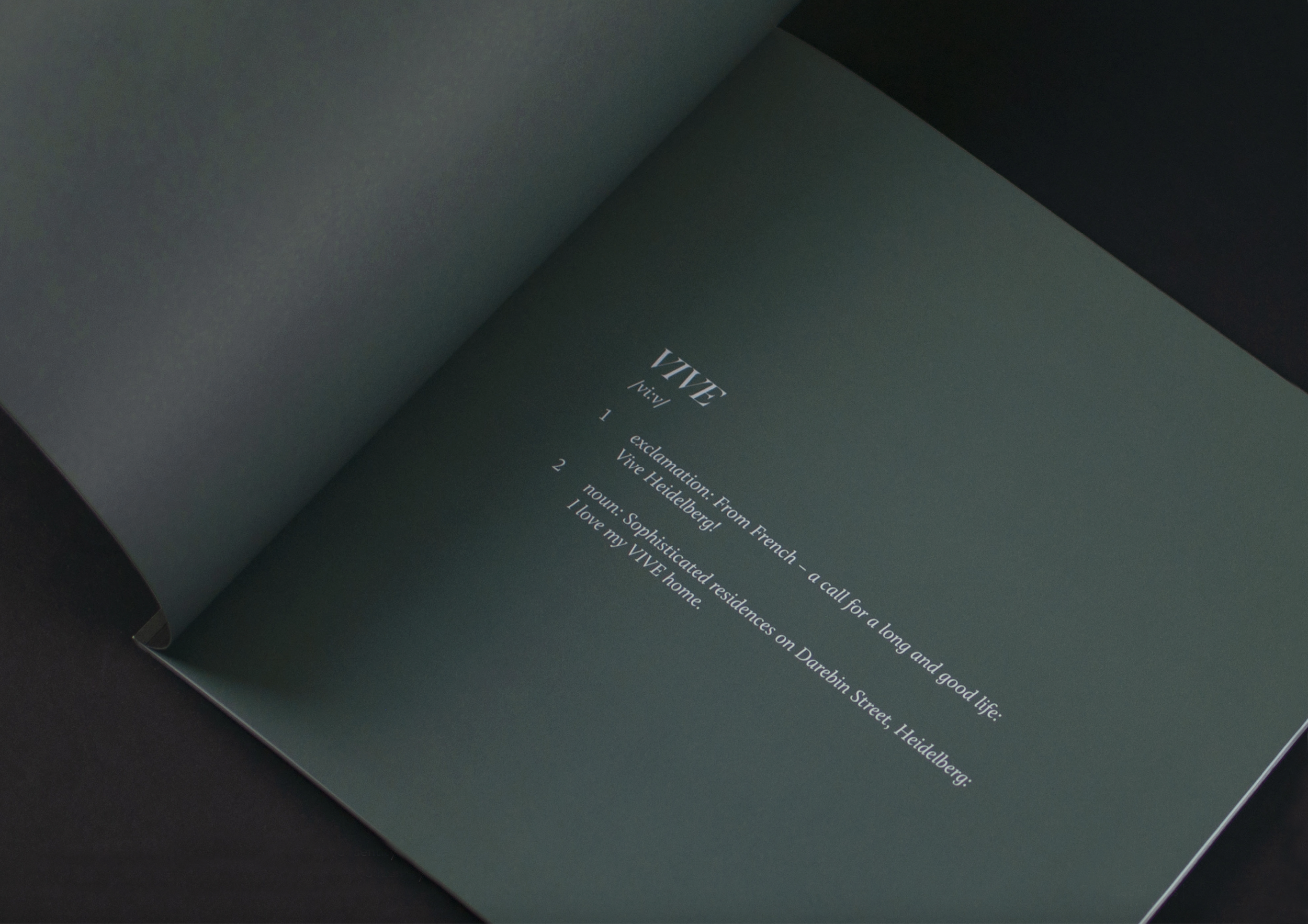 VIVE_Brochure1.png