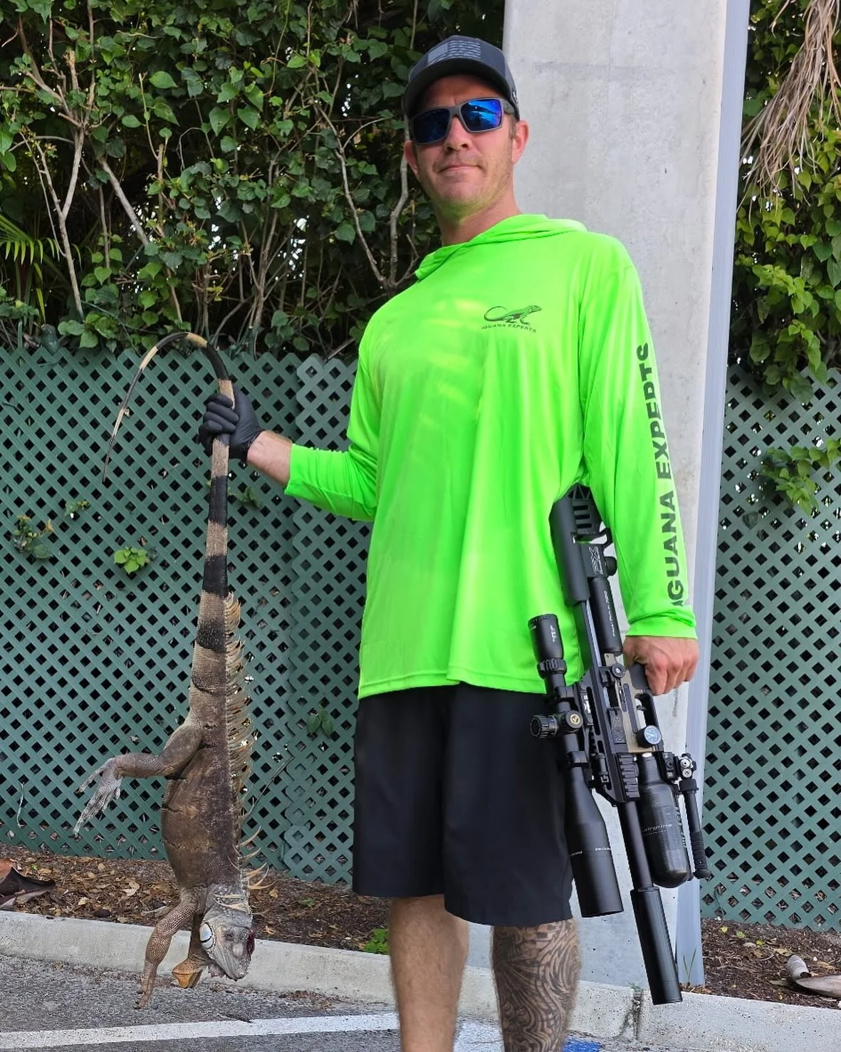 The iguana population has exploded and they have become a serious issue in South Florida.
⚠️ Here’s what you should know:
🦠 Salmonella Risk!
Iguanas, like many reptiles, often carry Salmonella in their intestinal tract without showing any s