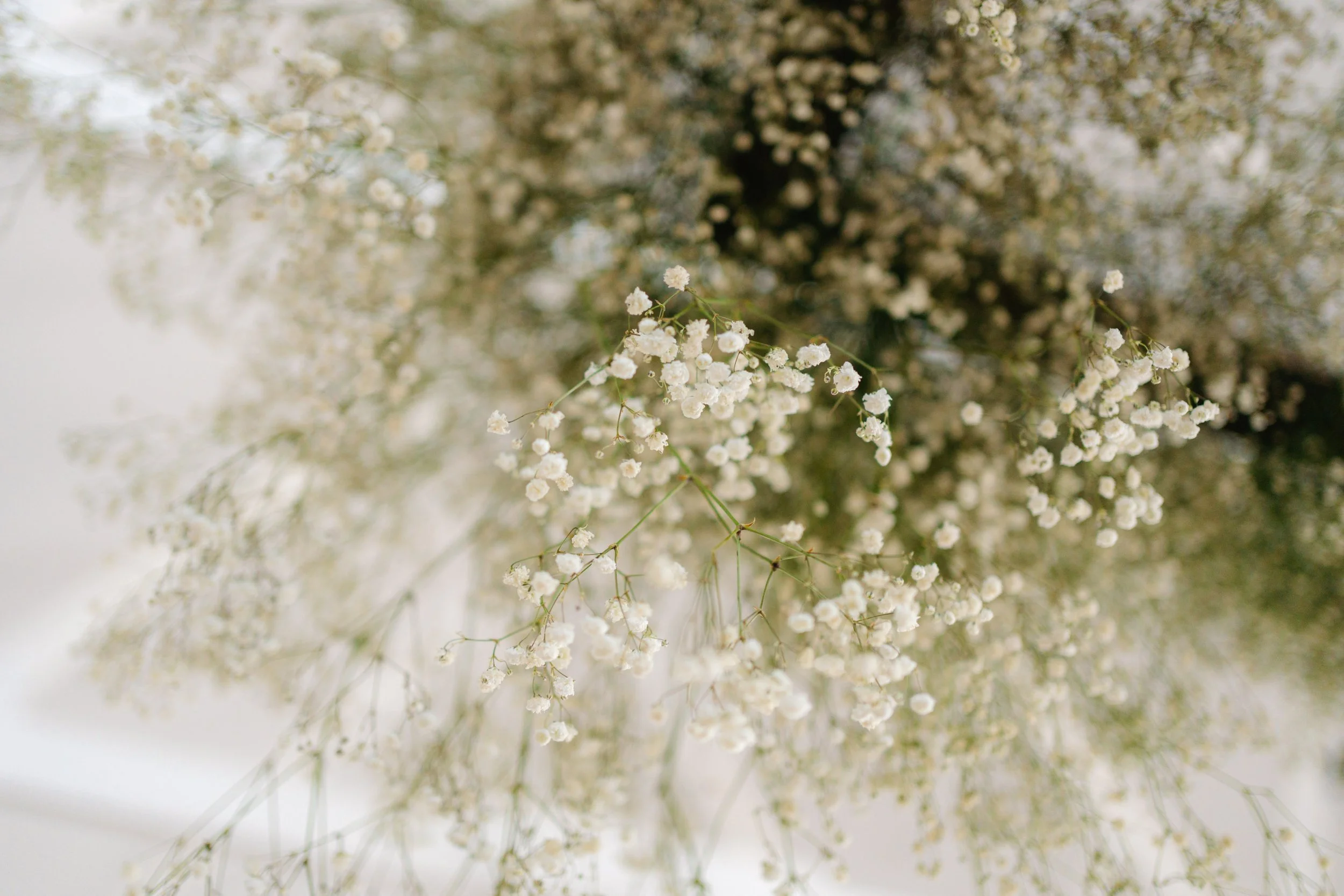 Meet Anna: A Bride-to-Be Rethinking Micro Weddings