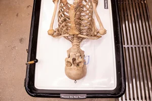 Exhibits — The Bone Museum