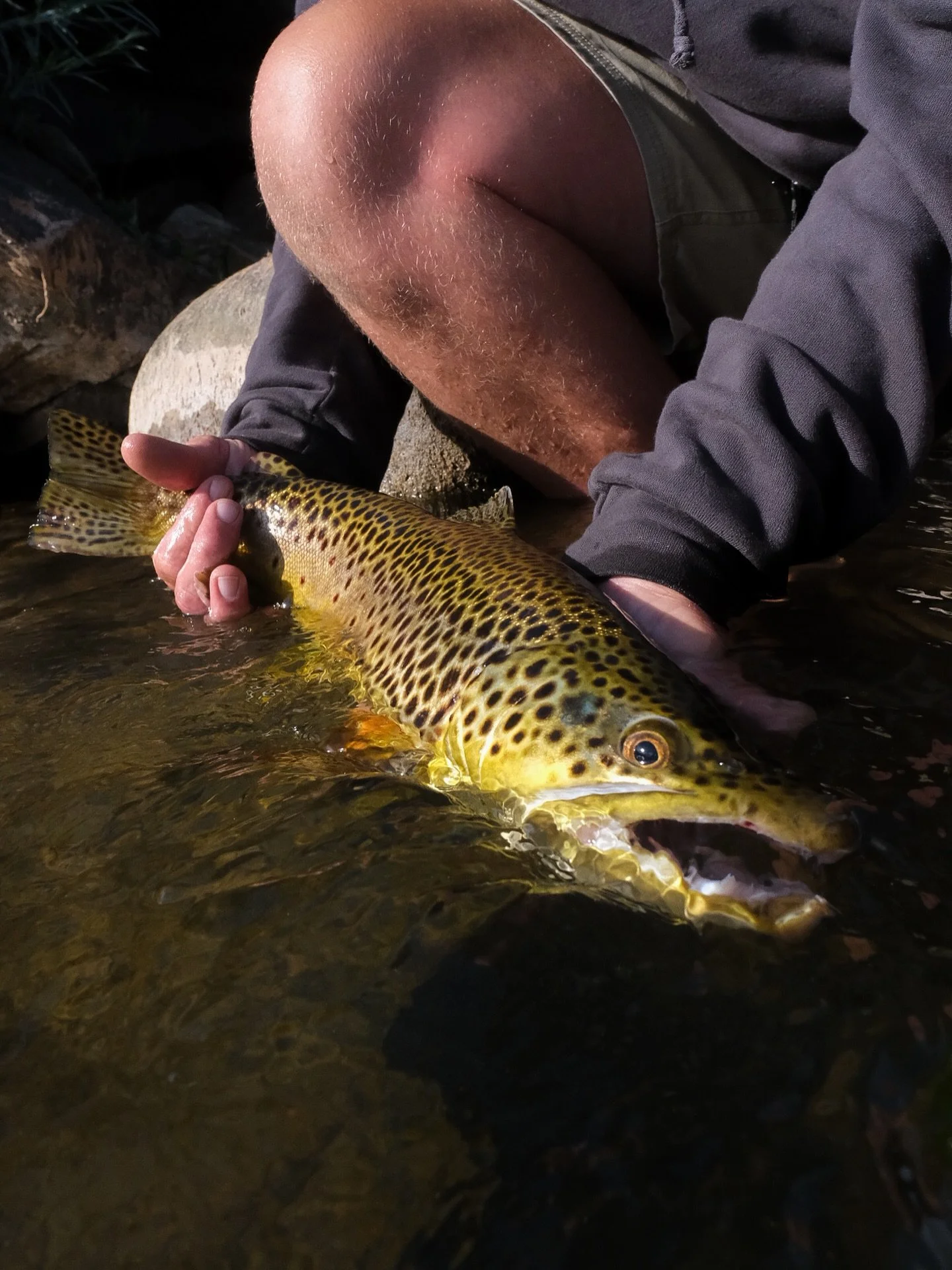 The good stuff&hellip;

isaiahsmithflyfishing.com
 
#scientificanglers #winstonrods #fishpondusa #flyfishing