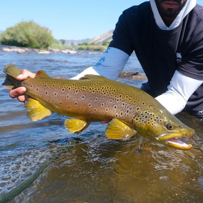 Soaking up the last bits of summer! This guy is ready to get freaky! 

Isaiahsmithflyfishing.com 

#scientificanglers #winstonrods #fishpondusa #flyfishing