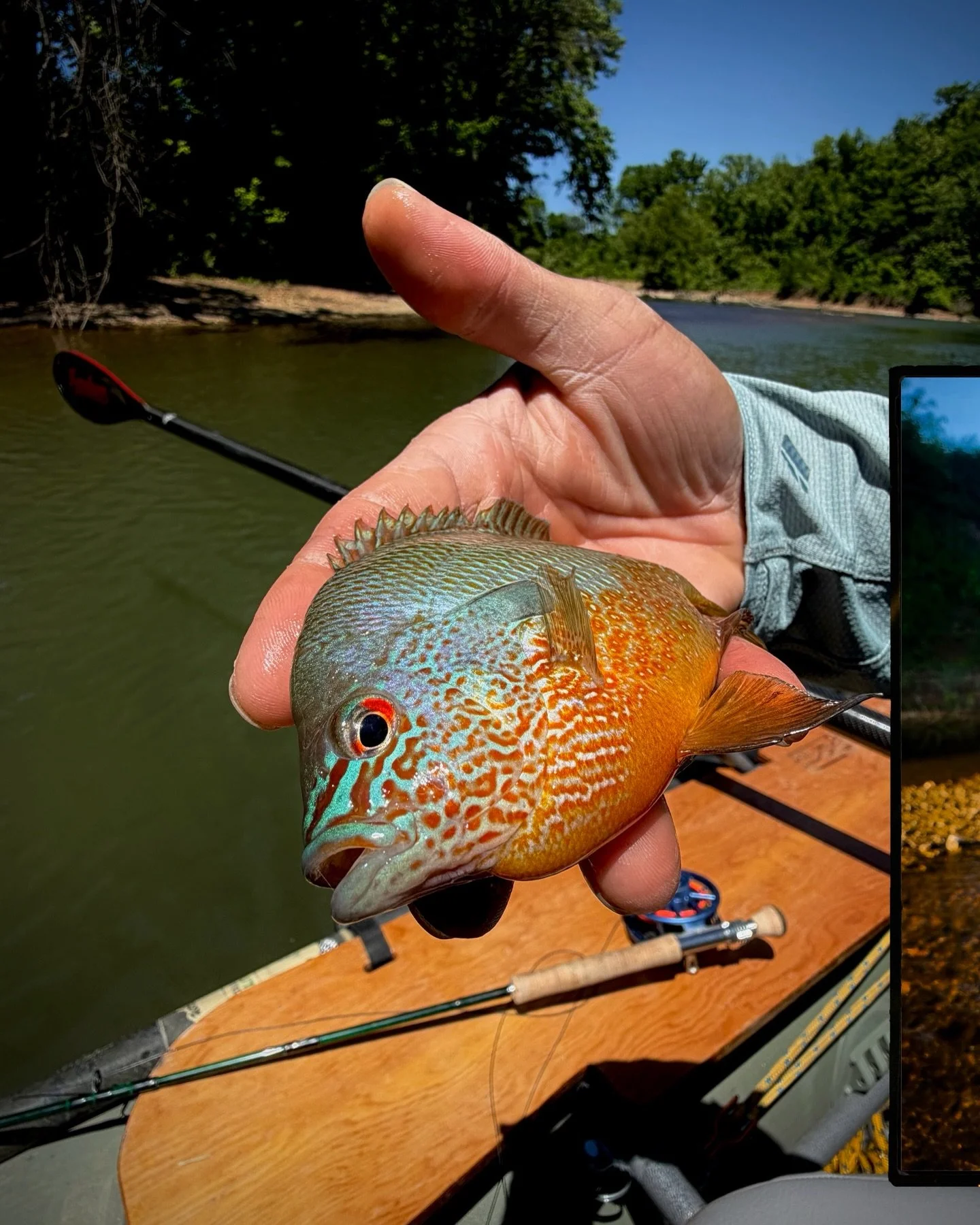 Had an awesome trip back home to Missouri exploring new water and spending time with family. Fished 4 new rivers, watched my grandpa stick a giant grassy on the fly, took my little cousin fishing, celebrated some of my best friends getting married, a