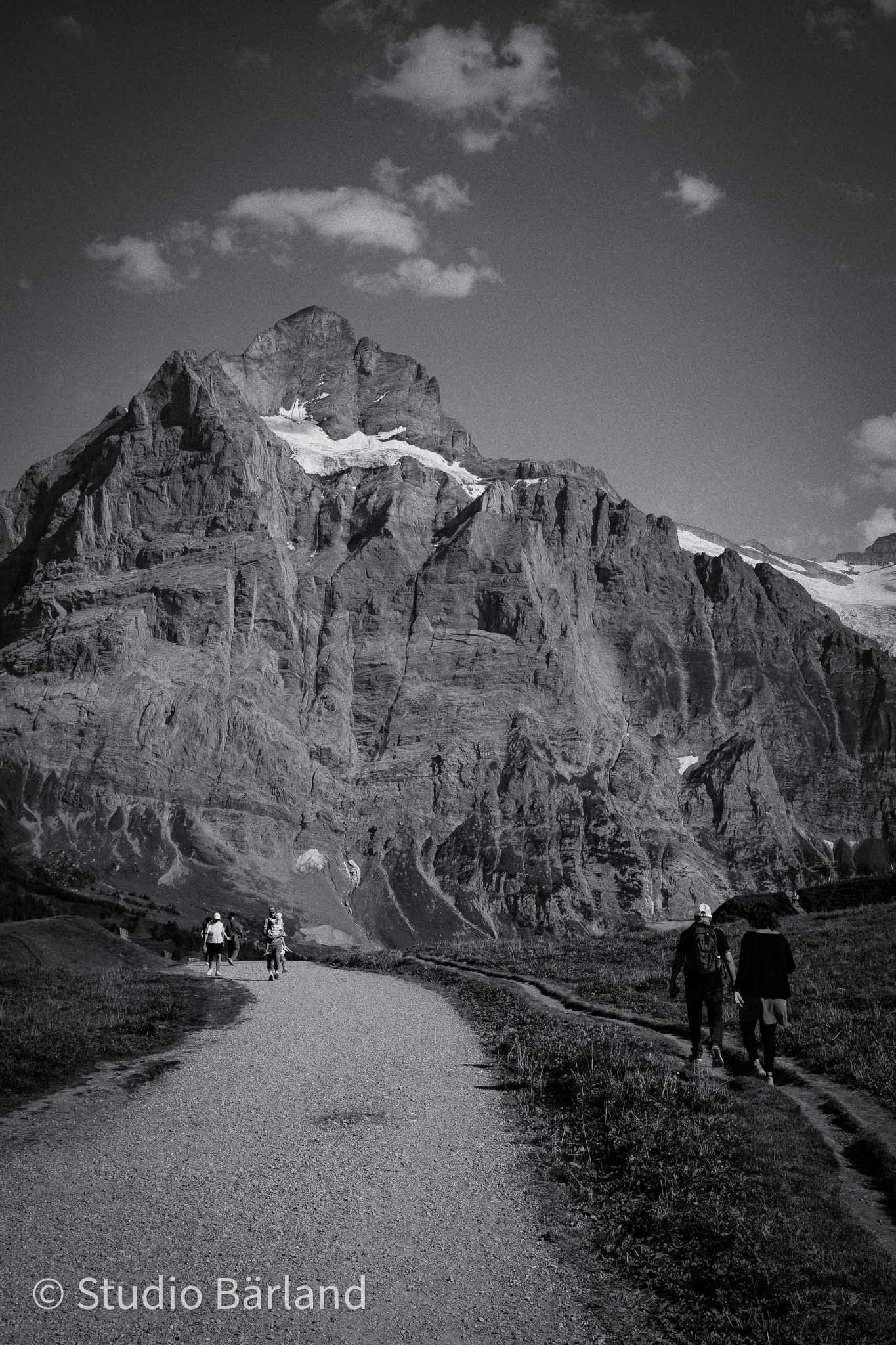 DSCF1229.jpg