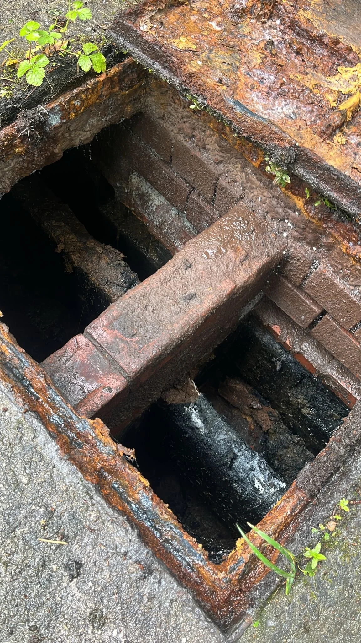 How Much Does a Professional Septic Tank Survey Cost?