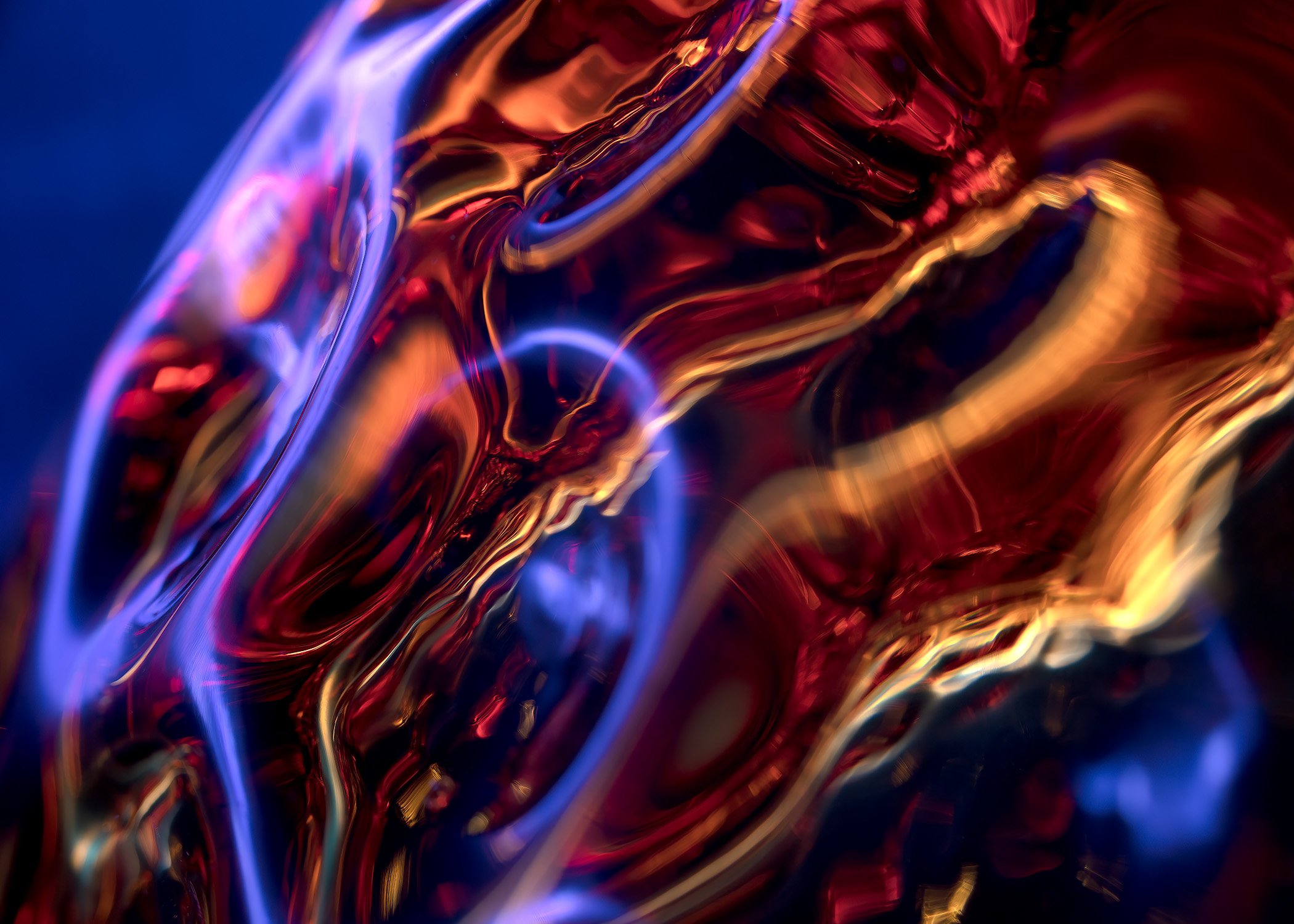 Echolocation _1.jpg