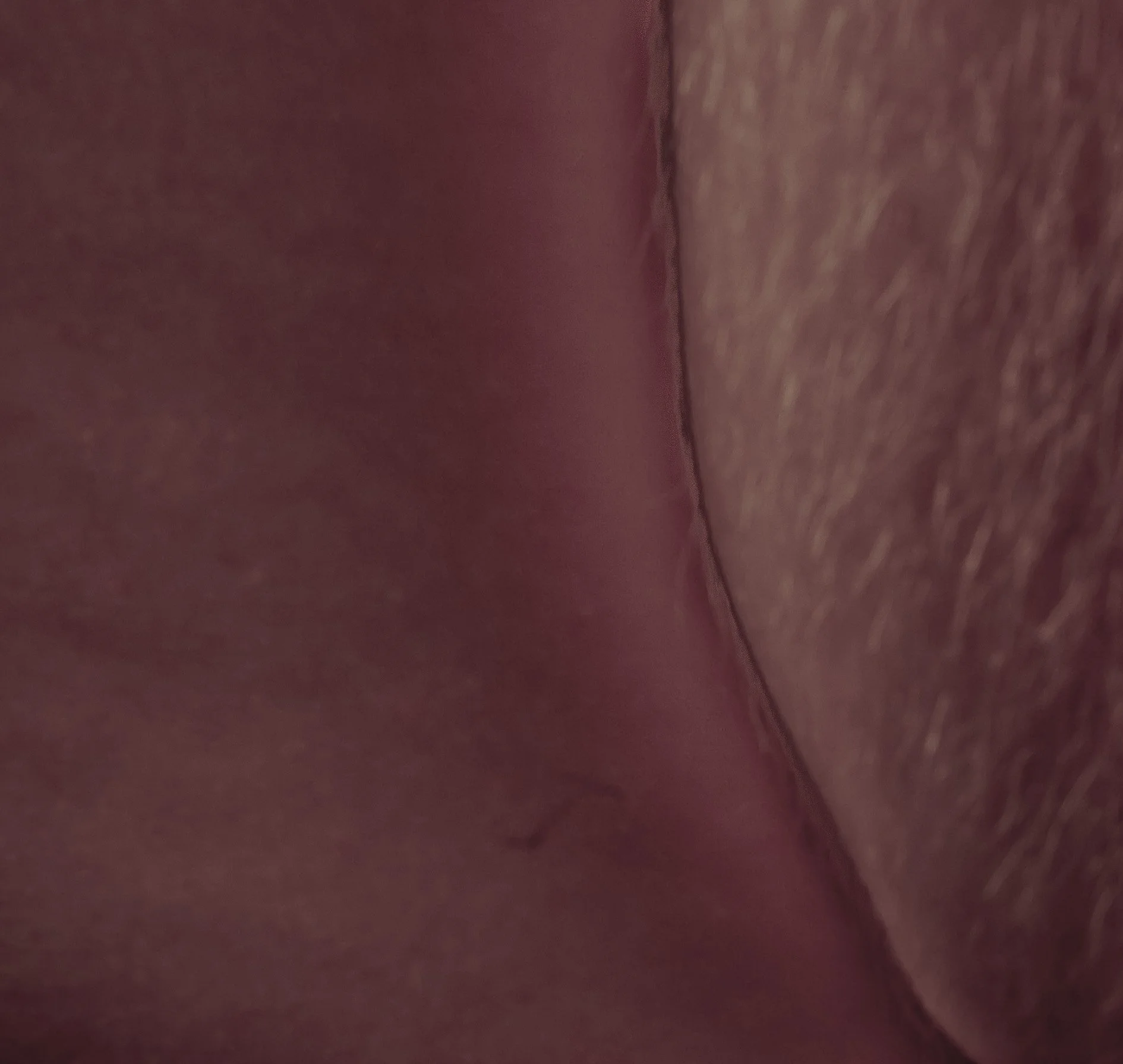 bodyforbe1-21.jpg
