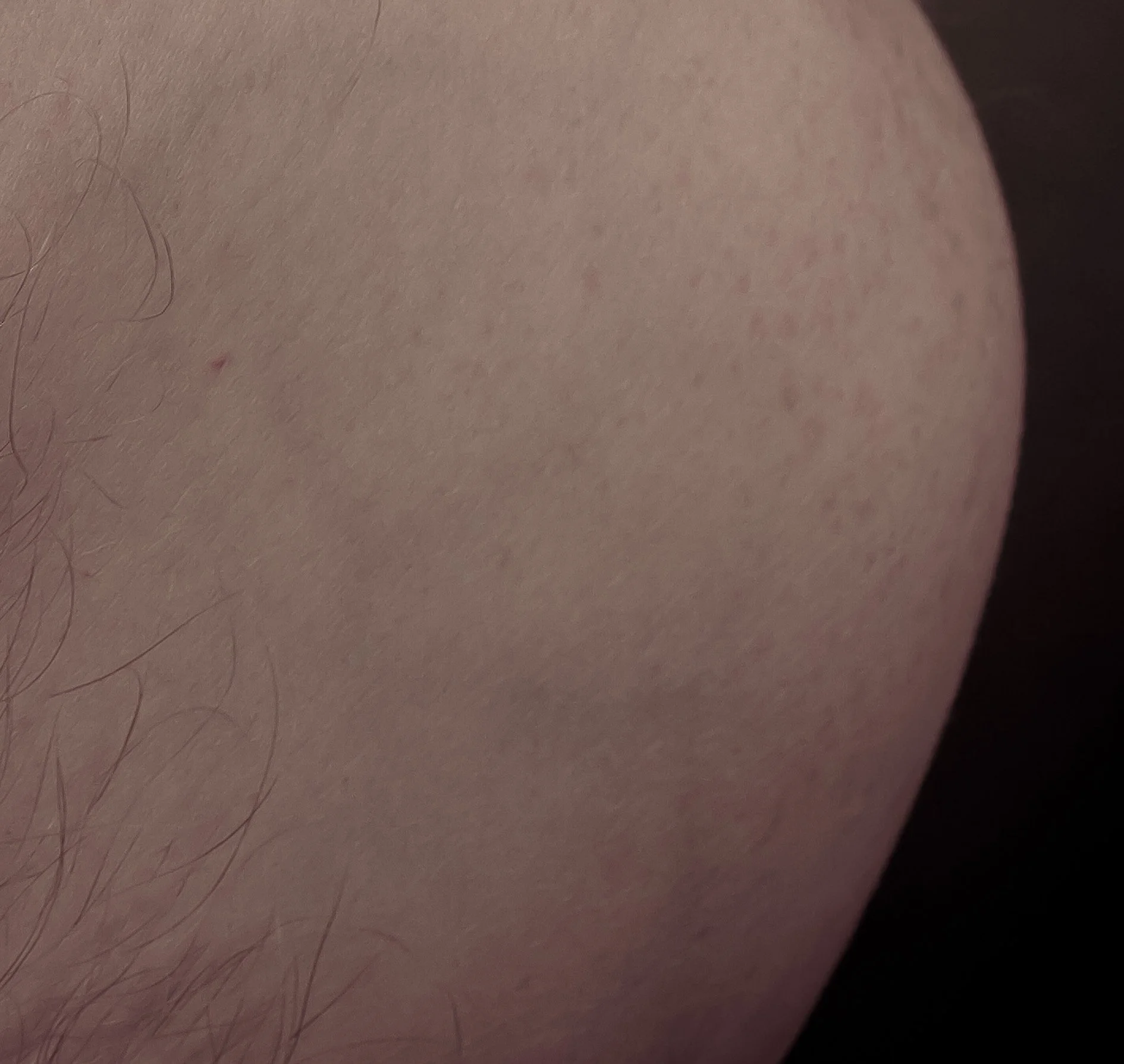 bodyforbe1-40.jpg