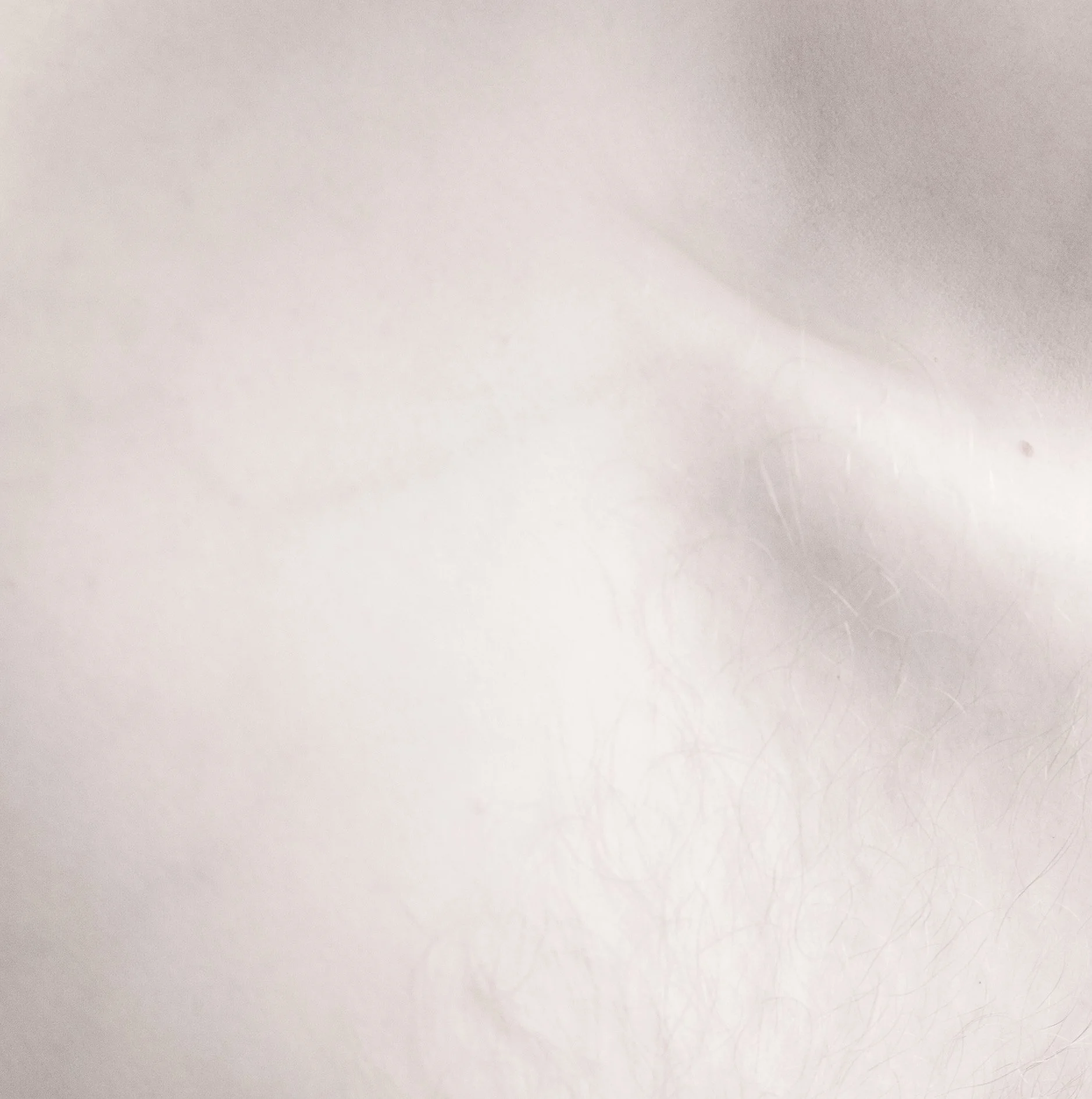 bodyforbe1-13.jpg