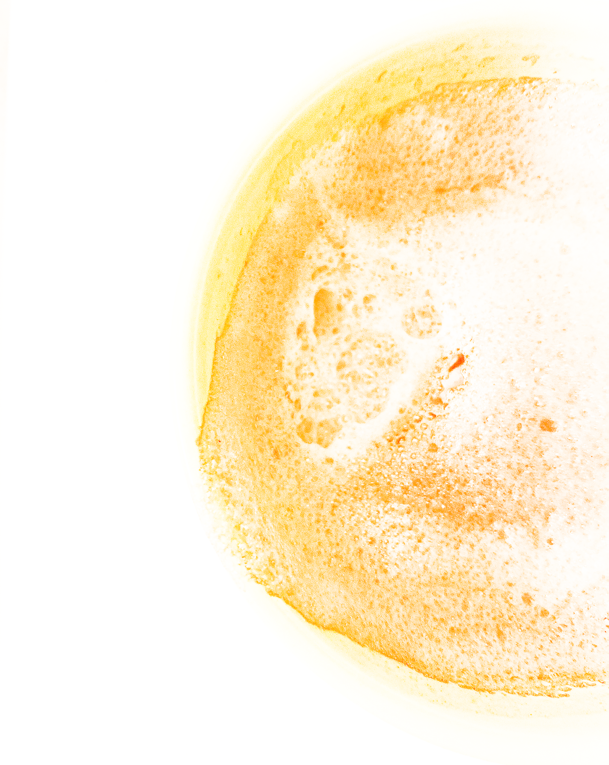 IMG_2450.png