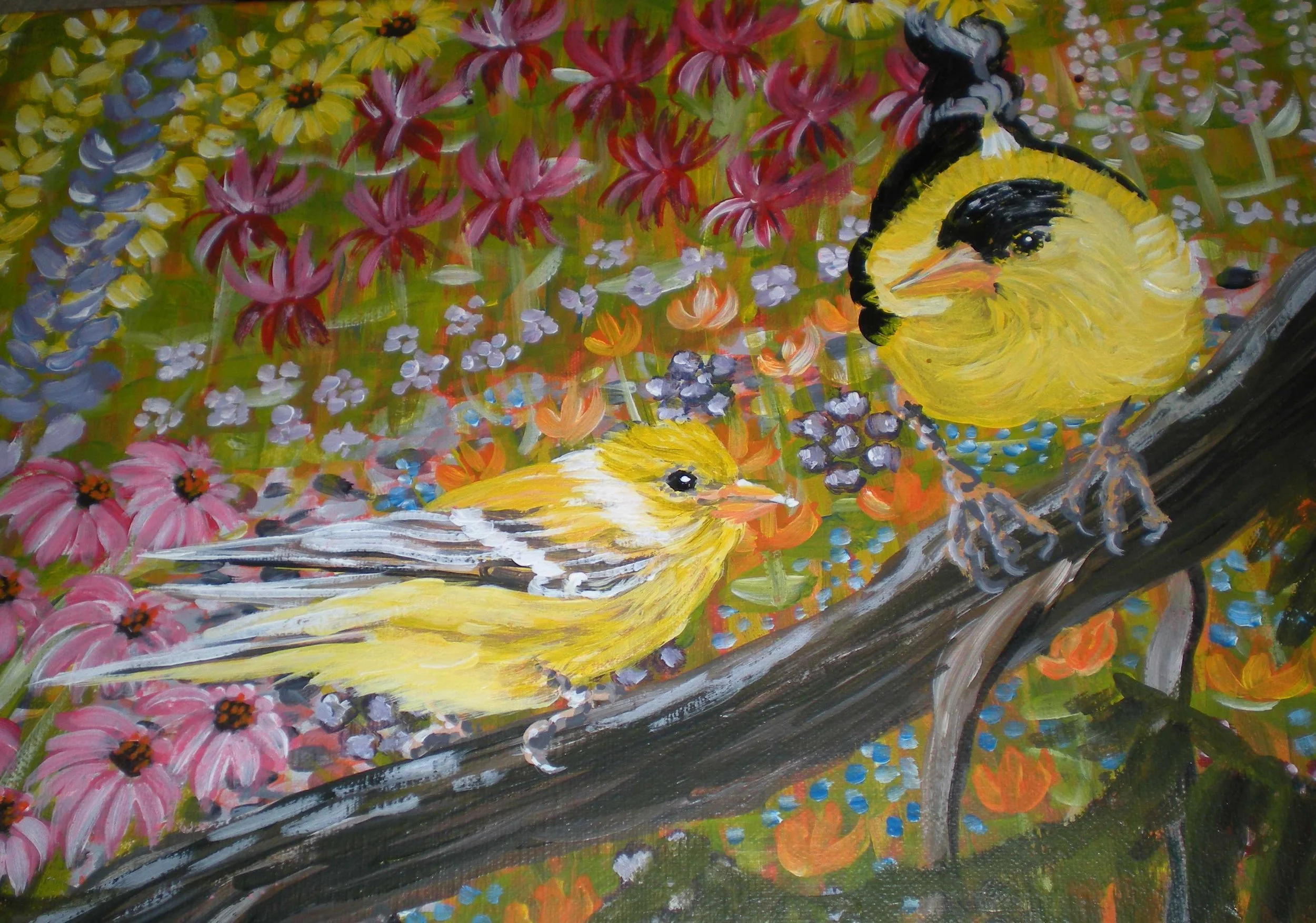 Goldfinch Mates, acrylic, 11 x 14