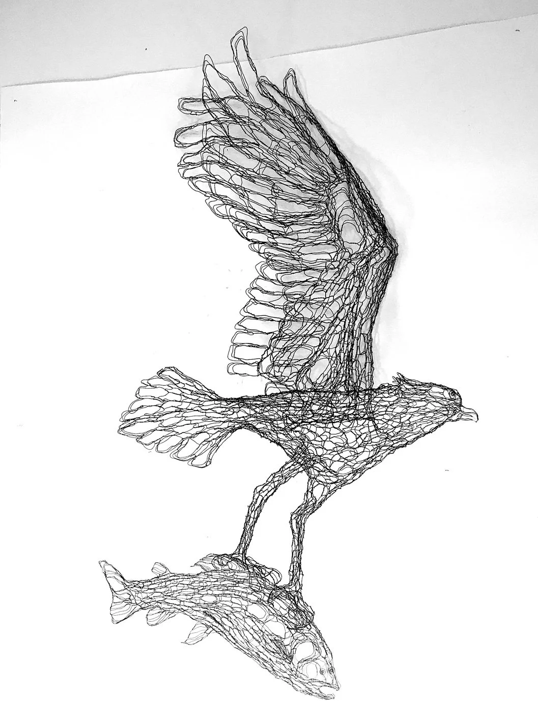 Osprey and Fish, wire, 54 x 36
