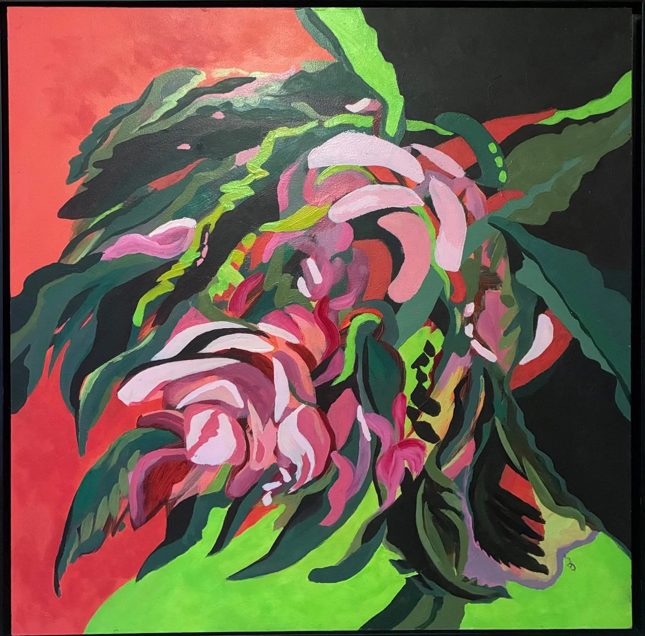Begonia, 30 x 30