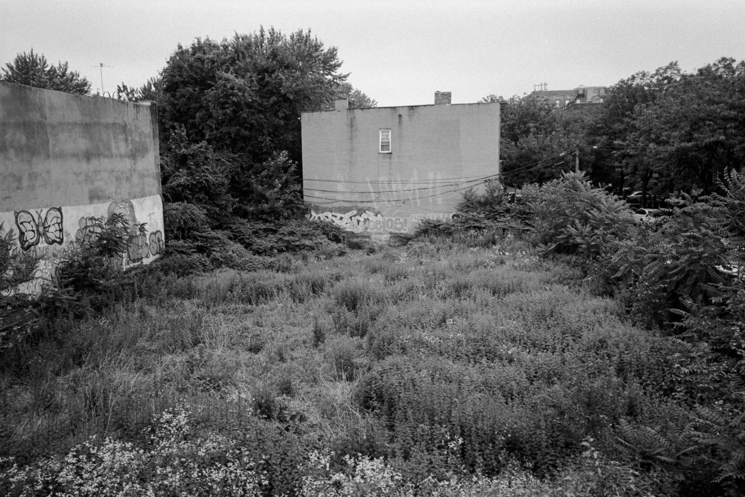 34___06_2019_74.jpg
