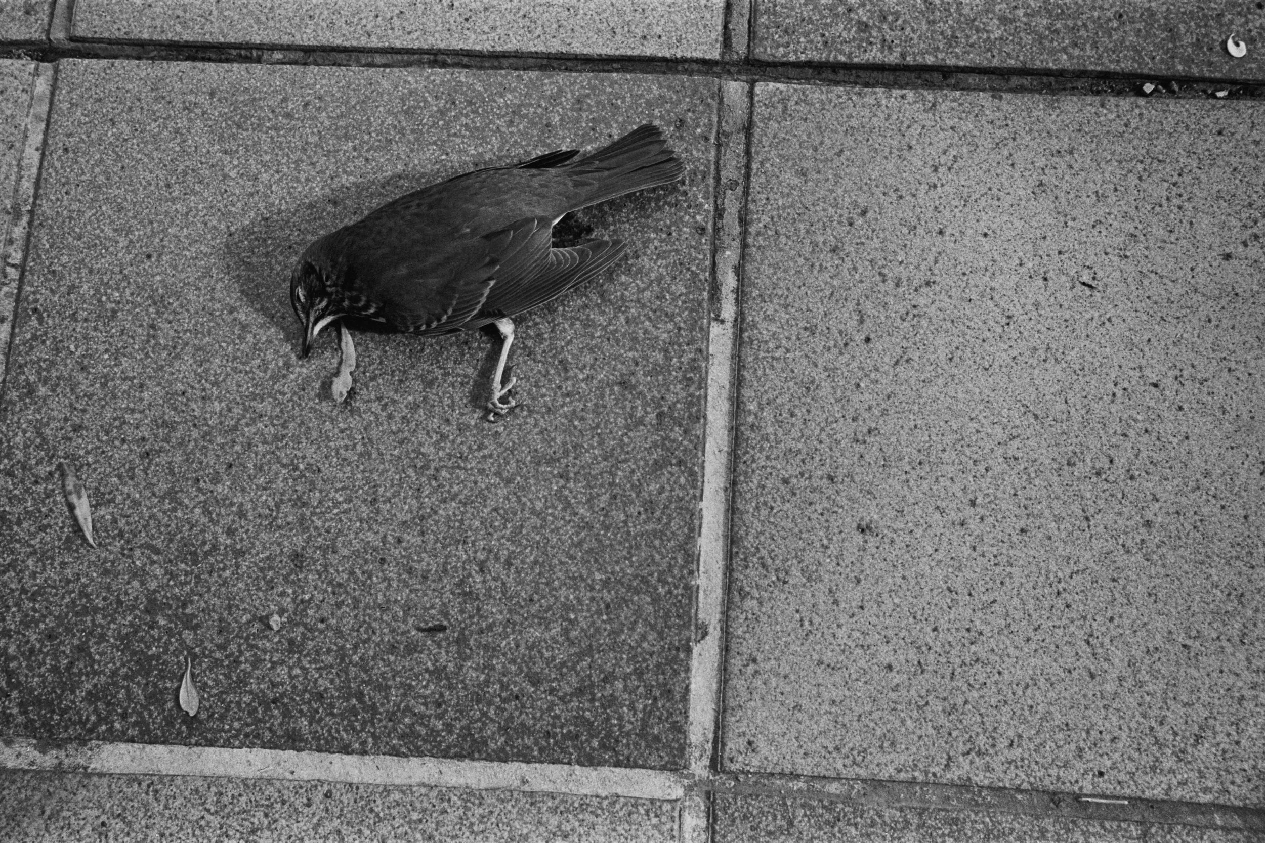 11_2025_37__535.jpg