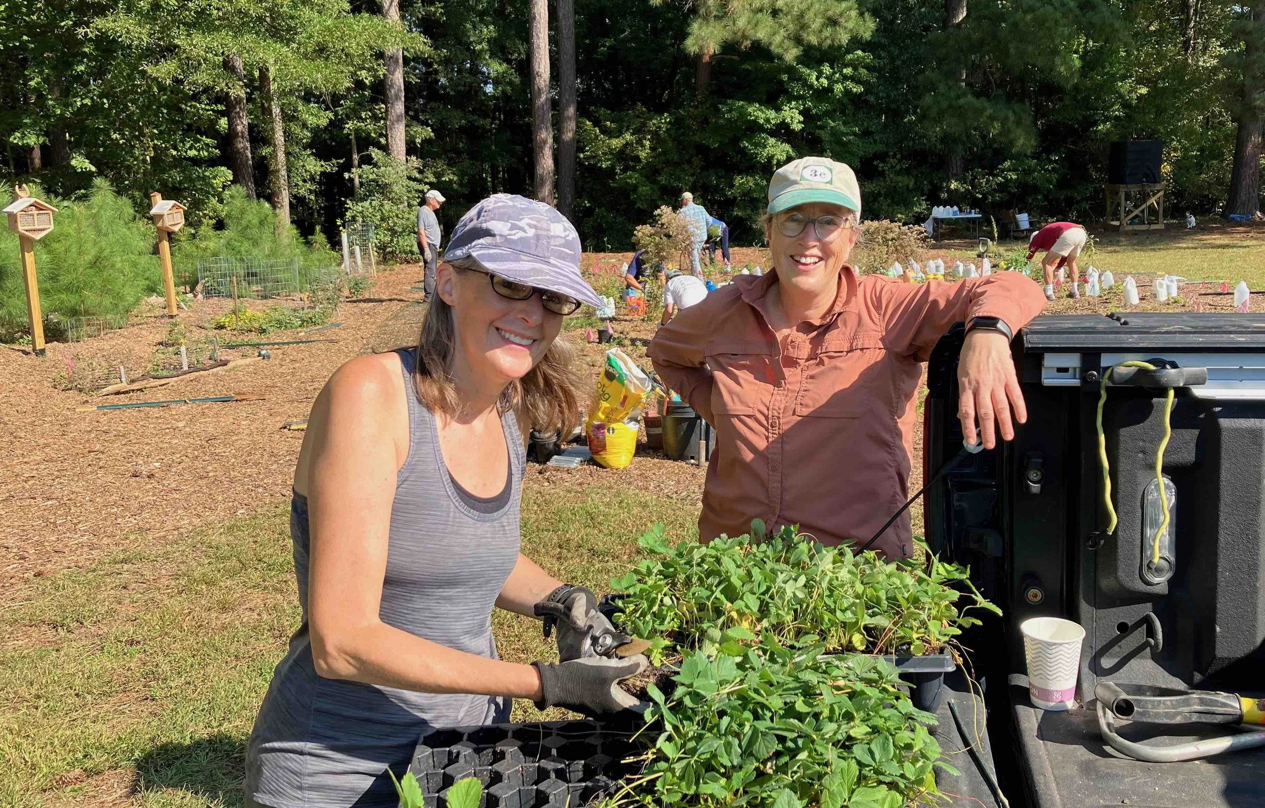 planting habitat garden.jpeg