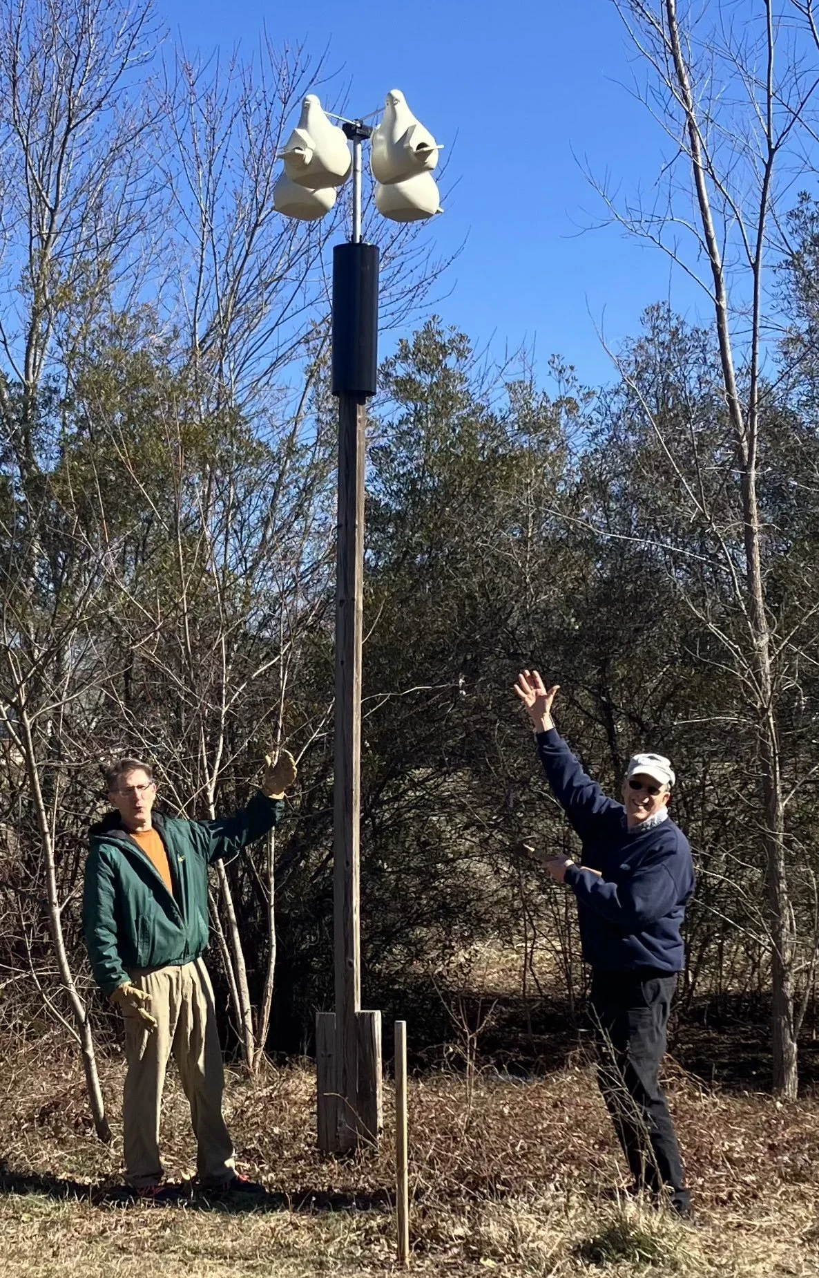 purple martin house.jpg