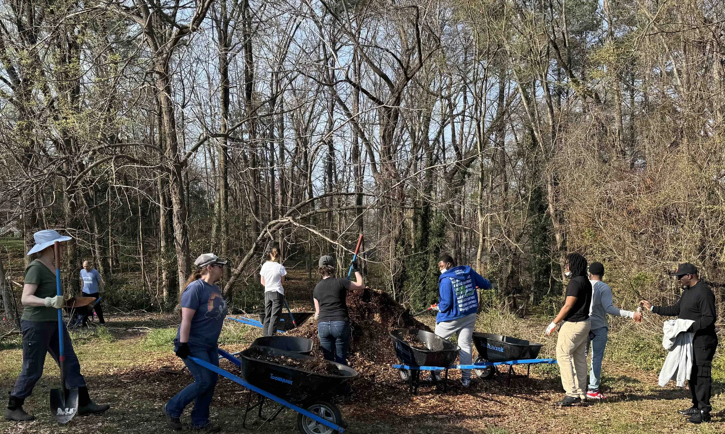 dogbane area chips.jpg