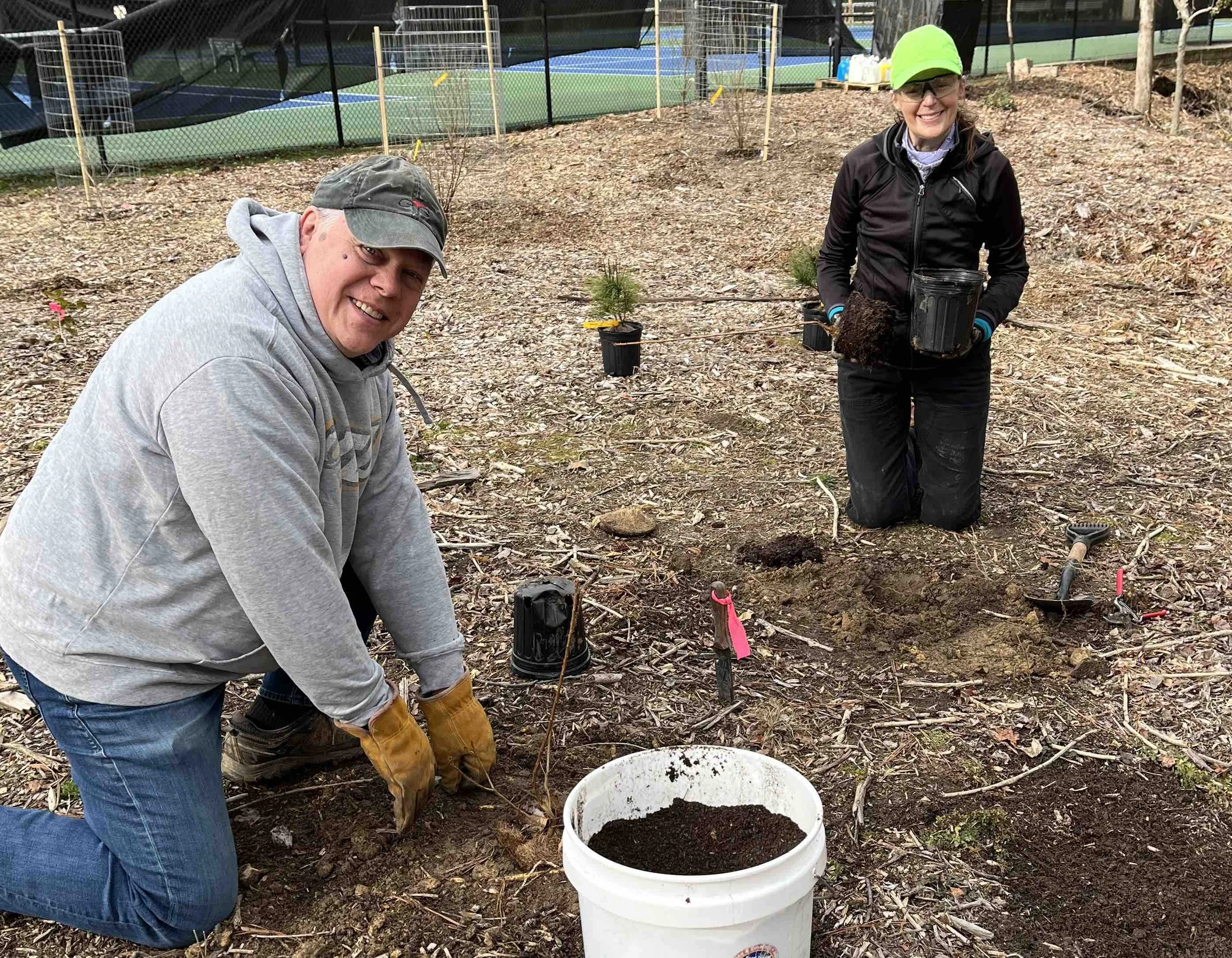 Planting in the reforestation area
