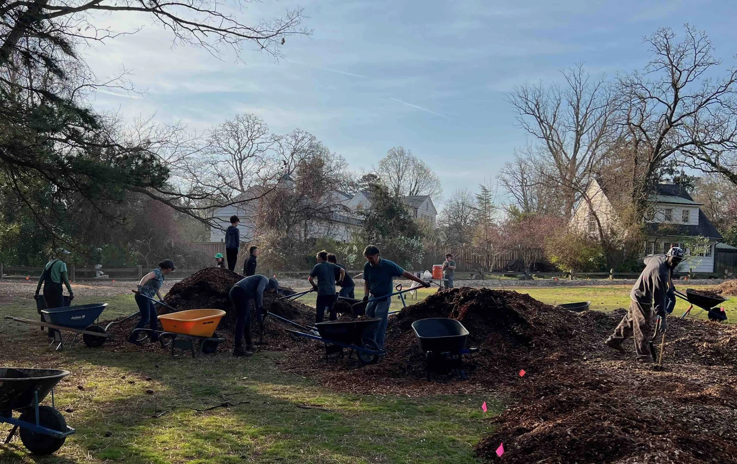 habitat garden expansion.jpeg