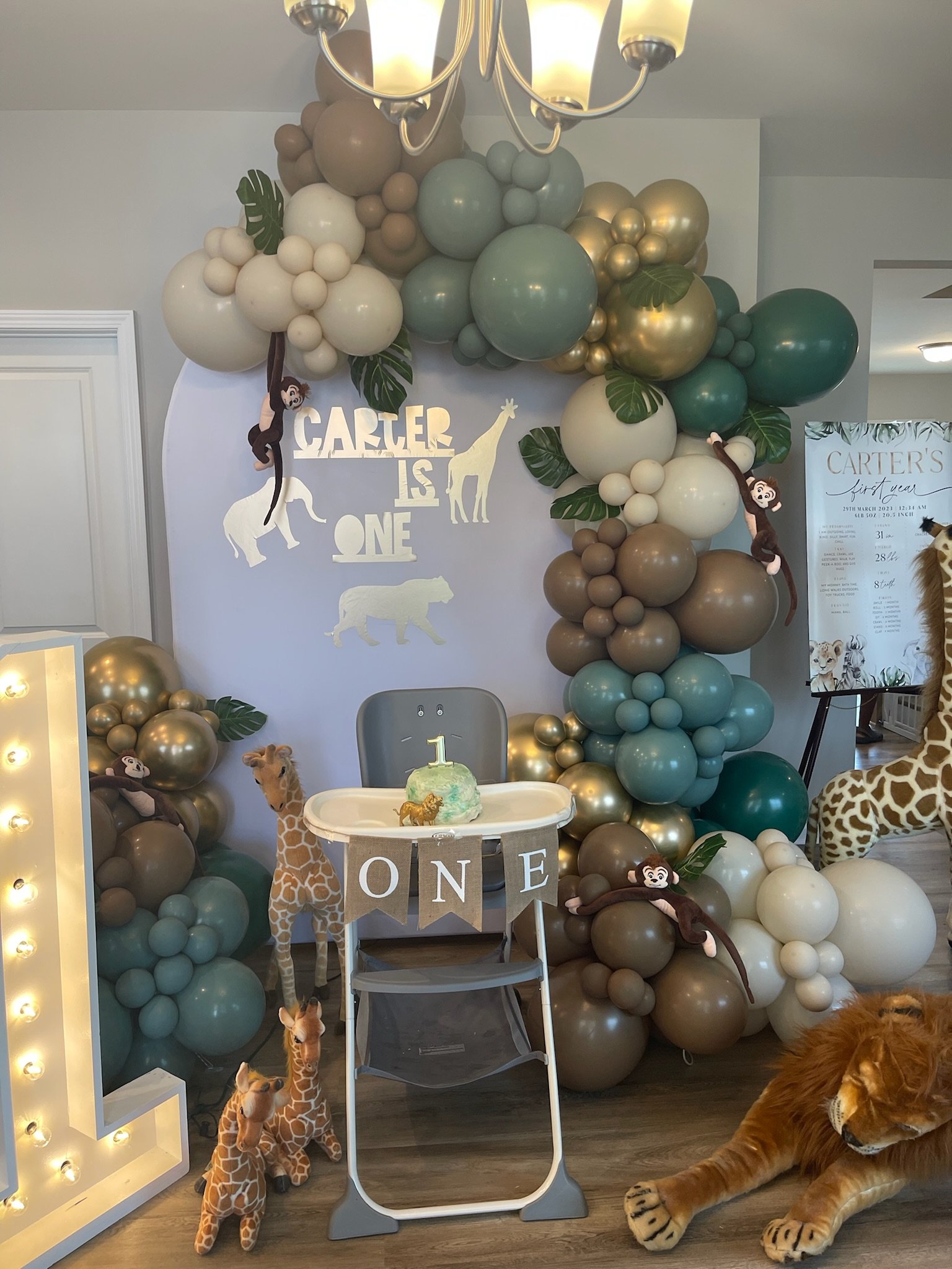 Wild One Birthday | March '24