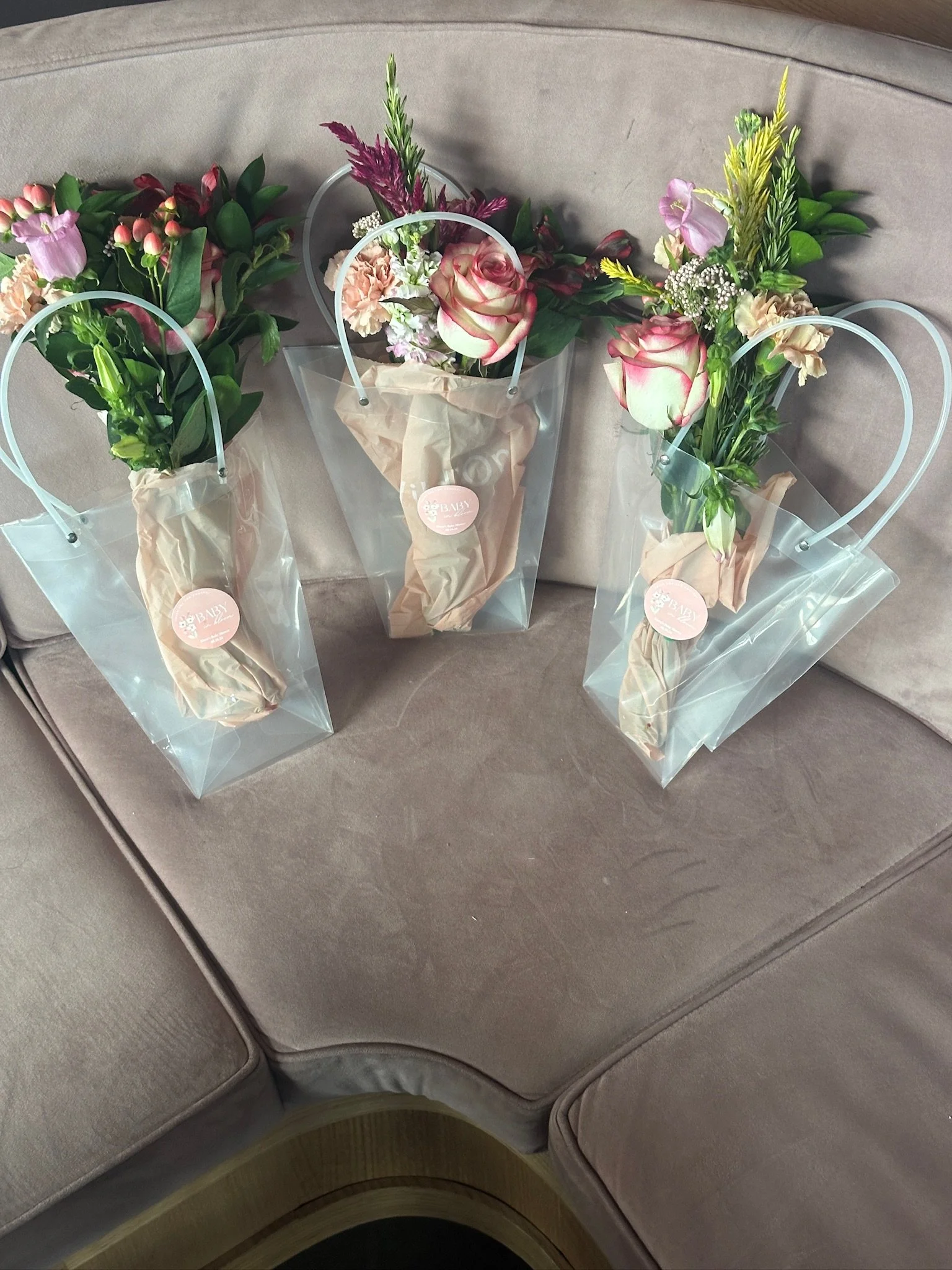 Baby In Bloom | August '24