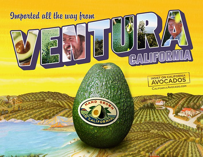 California Avocado