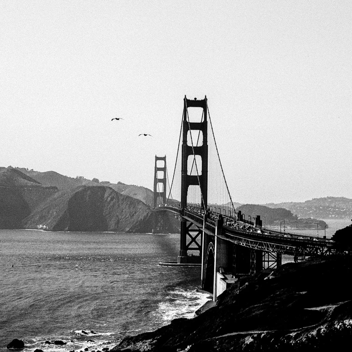 879-Ferrania80-Voigtlander-PR-Oakland-SF-Spring2025--06(1)-magnet.jpg