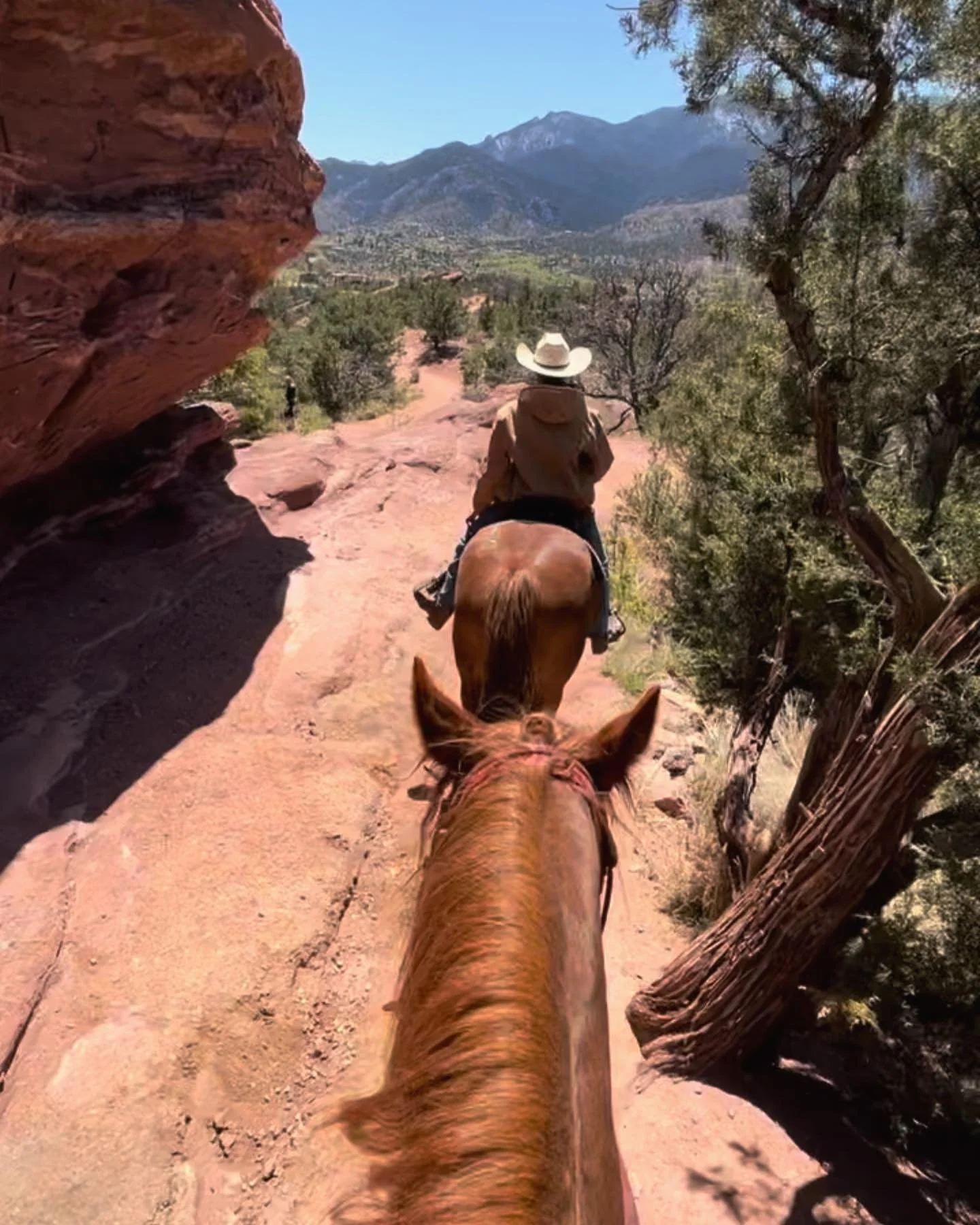 This past month Josh and I celebrated my 40th birthday with a trip out west. We rode horses in the Garden of the Gods, went to an art hop in Colorado Springs, celebrated our 3rd Anniversary at a rooftop bar in Boulder, and ended the trip in Denver wi