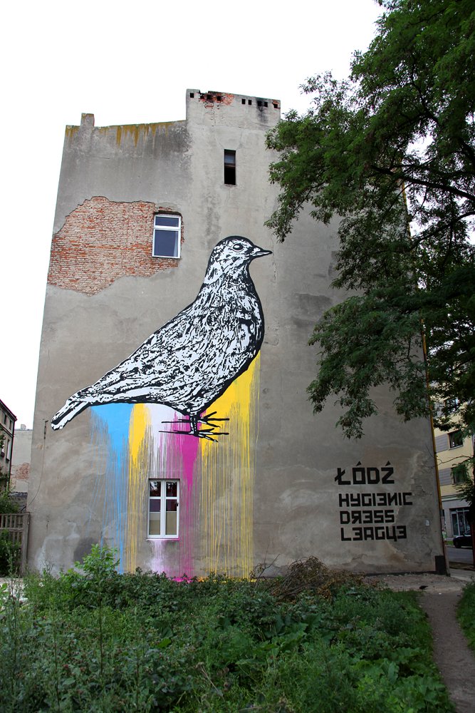 Pigeon 2 sm.jpg