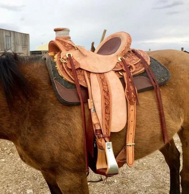 saddle1.jpg