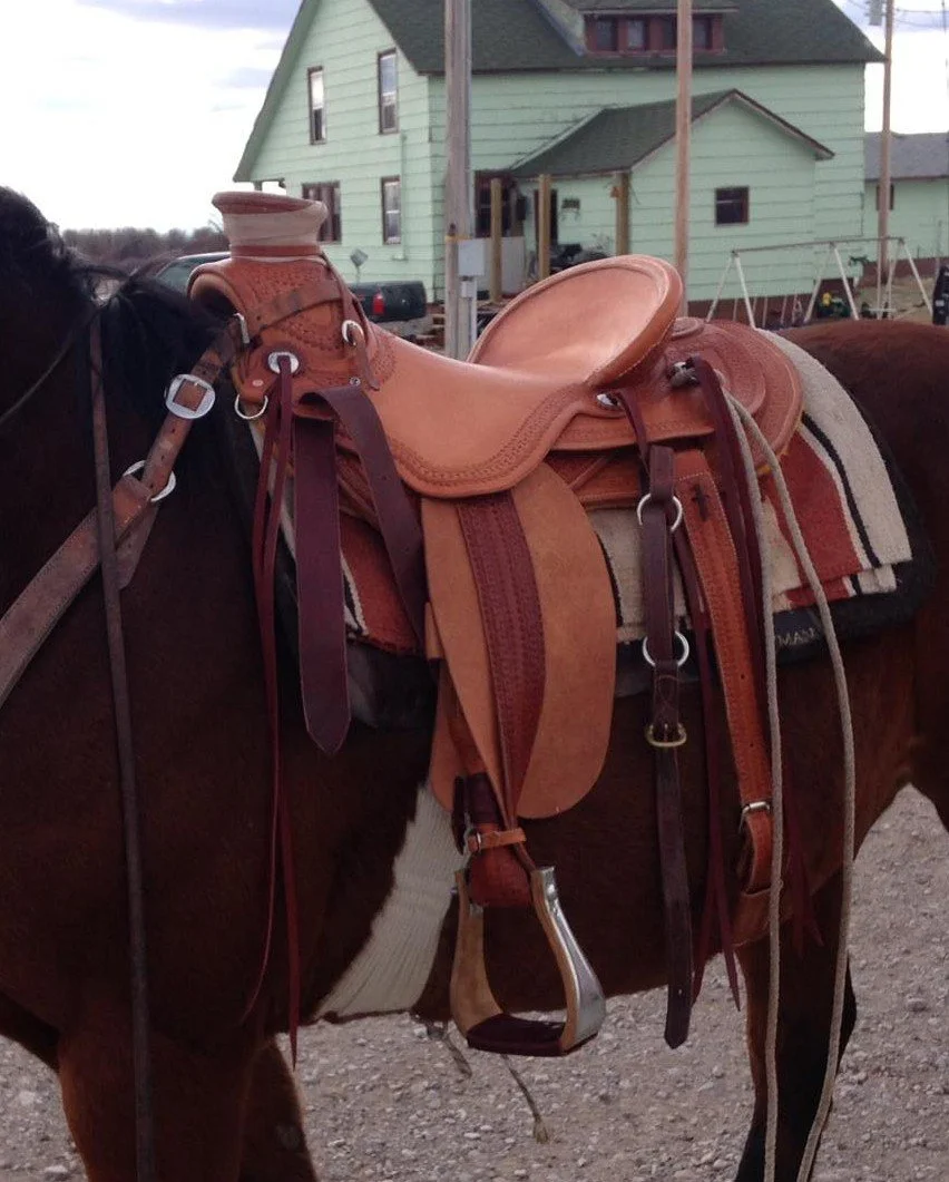 saddle2.jpg
