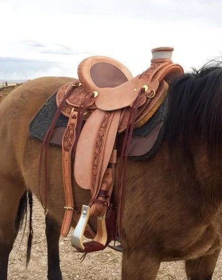 saddle1.2.jpg