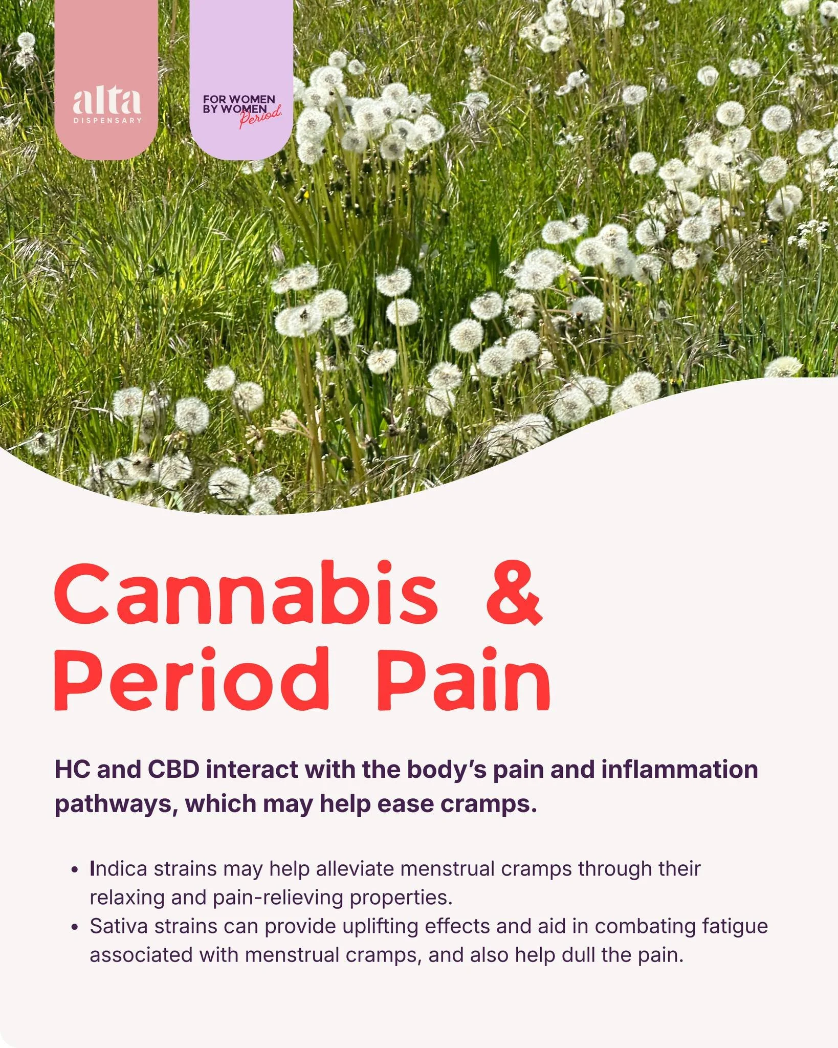 We are always looking for new remedies to help us out with our
period problems!

From heating pads to herbal teas, people have tried it all, and now research is exploring how medicinal cannabis may help relieve menstrual pain. Science is still learni