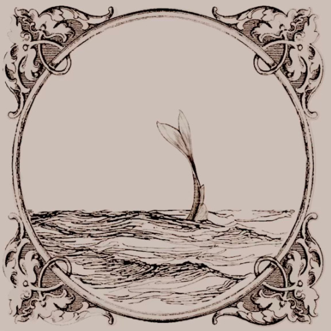 Mariah van Kleef MUSIC