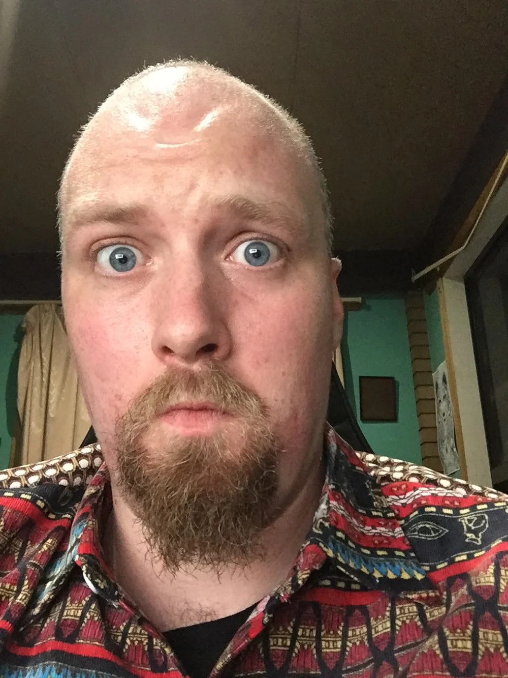 A man with a surprised expression, short blond hair, blue eyes, a goatee, and a mustache wearing a colorful patterned shirt inside a room with green walls and curtains.