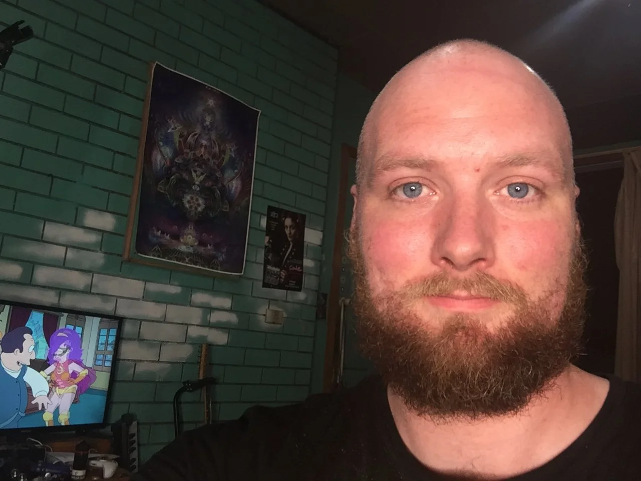 A man with a beard and bald head taking a selfie in a room with green brick walls. Behind him, there is a TV displaying cartoon characters and posters on the wall, including a large, colorful artwork and a smaller poster of a woman.