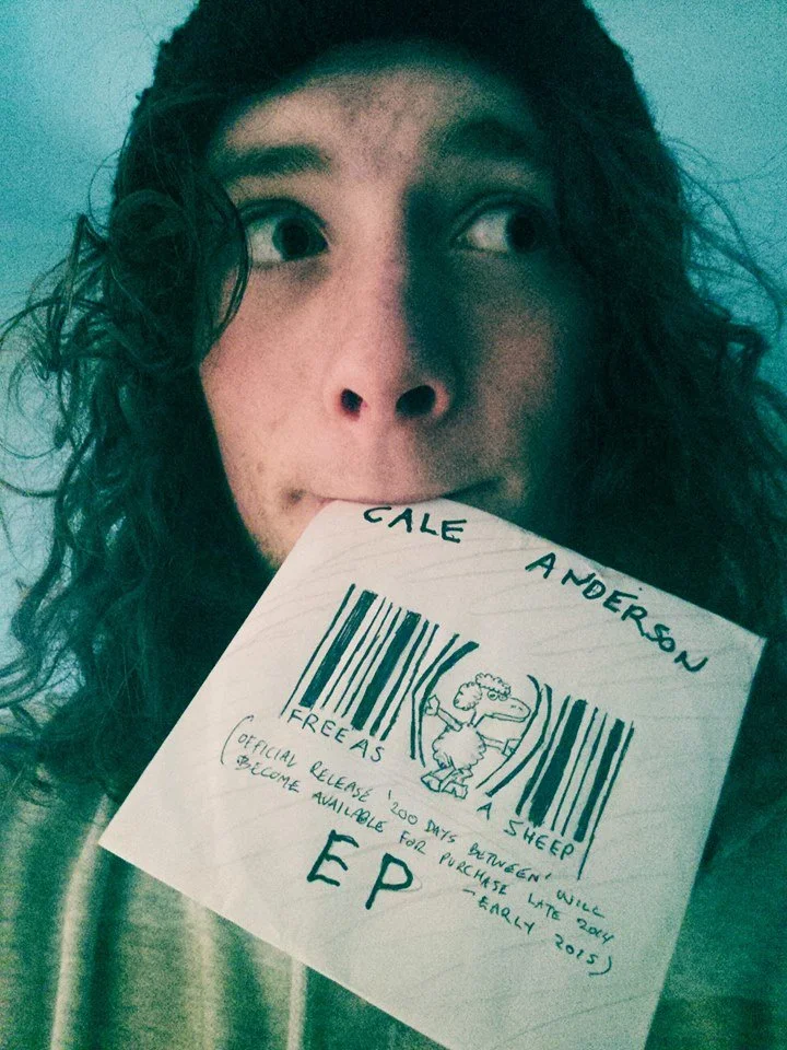 FREE AS A SHEEP BY CALE ANDERSON 2014