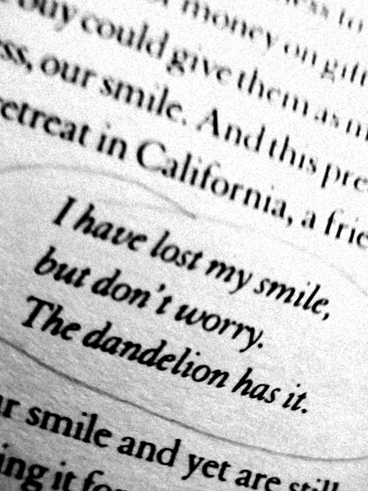 A close-up of a printed page with a personal story about losing a smile, mentioning California and a wedding.