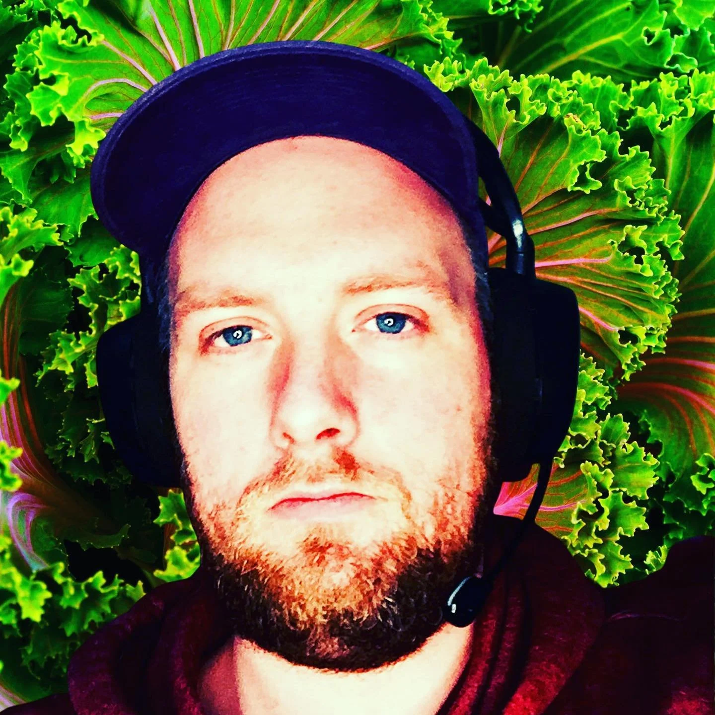 A young man with a beard and blue eyes wearing a dark cap and headphones, lying on green leafy plants.