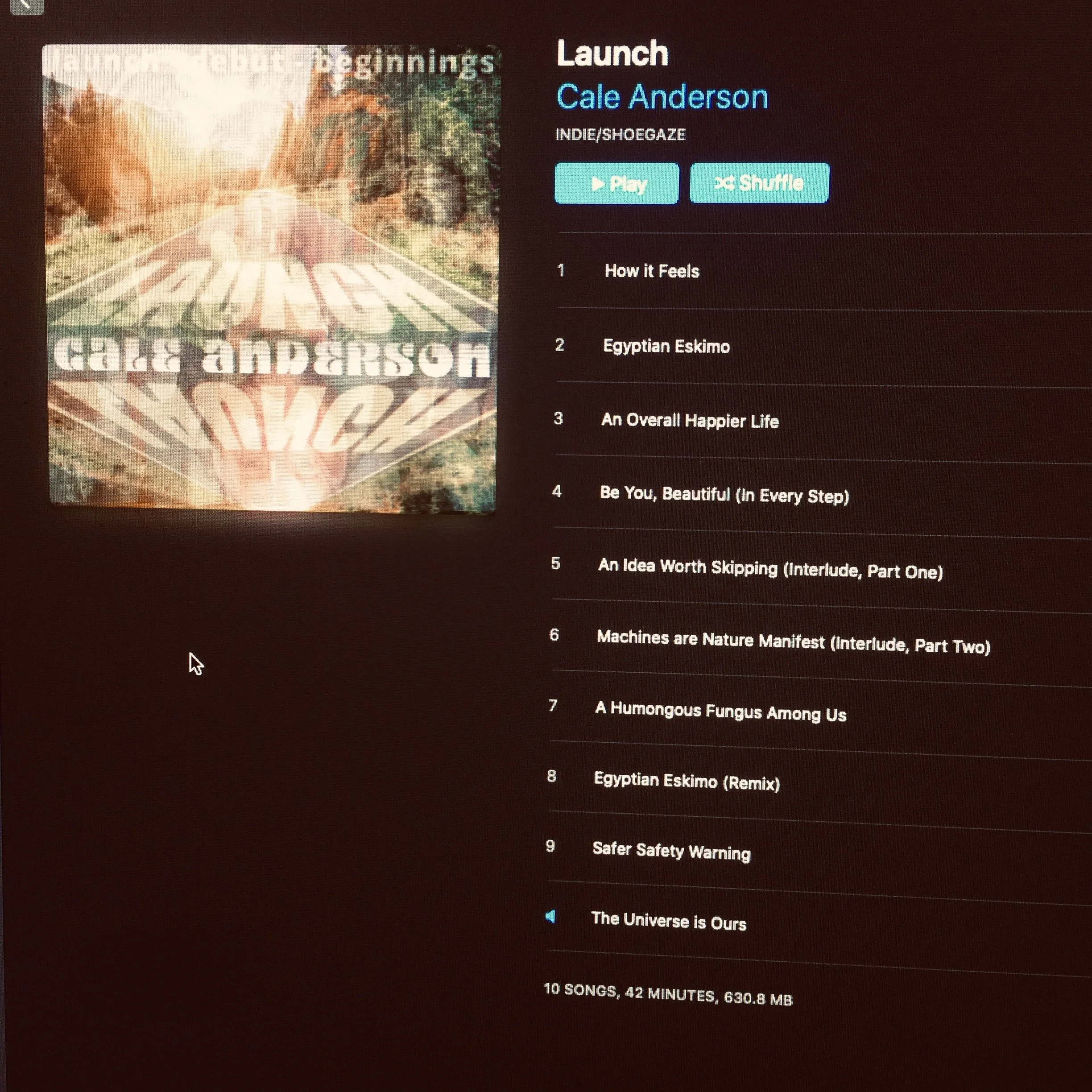 Music playlist screen featuring album cover art of a landscape with trees and water, with the title 'Beginnings' and artist 'Shoegaze'. List of song titles including 'How it Feels', 'Egyptian Eskimo', 'An Overall Happier Life', and others.