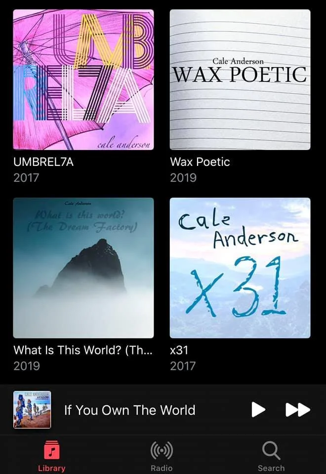 A collection of four book covers by Calder Anderson and a music playlist. The books are titled "UMBRELZA" (2017), "Wax Poetic" (2019), "What Is This World?" (2019), and "x31" (2017). The playlist is labeled "If You Own The World."