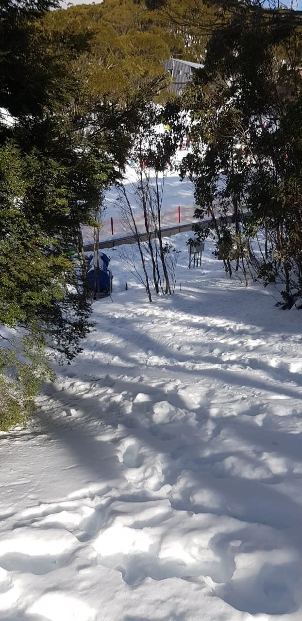 Snow-covered pathway surrounded by trees and foliage, with footprints in the snow leading to a small structure in the background on a sunny day.