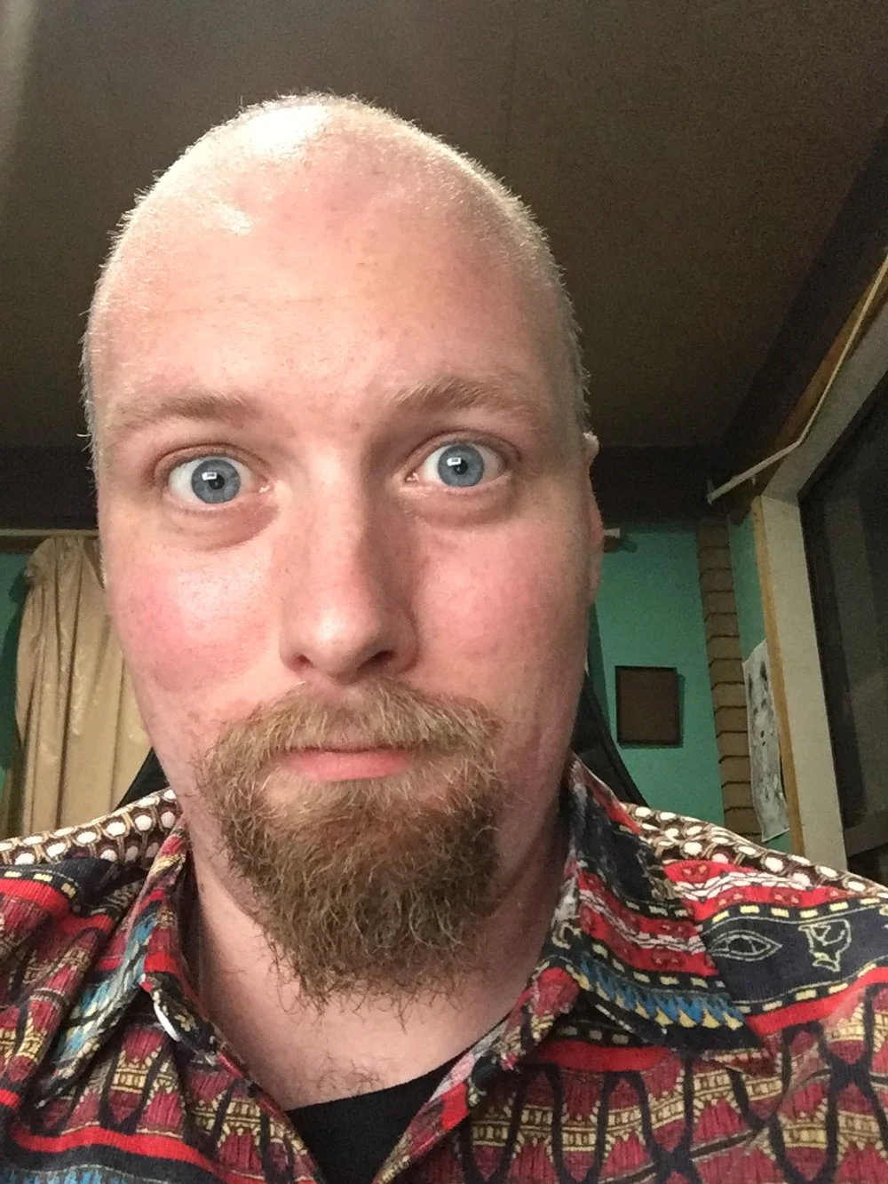 A man with a bald head, blue eyes, and a beard, wearing a colorful patterned shirt, indoors with a green wall, window, and curtains in the background.