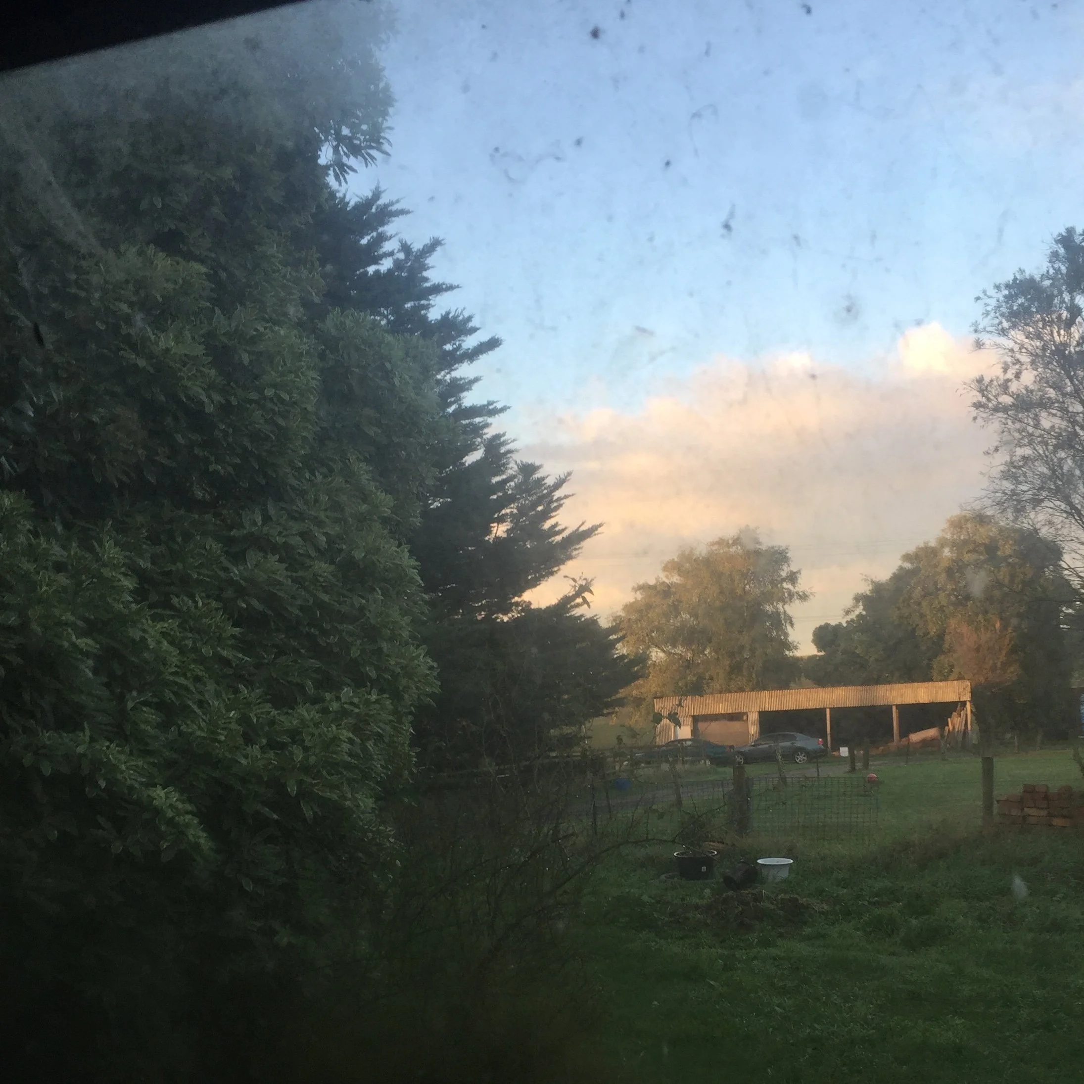 View of a backyard scene through a window with a dirty or dusty glass, showing trees, a cloudy sky, a carport with a few cars, and some outdoor items on the grass.