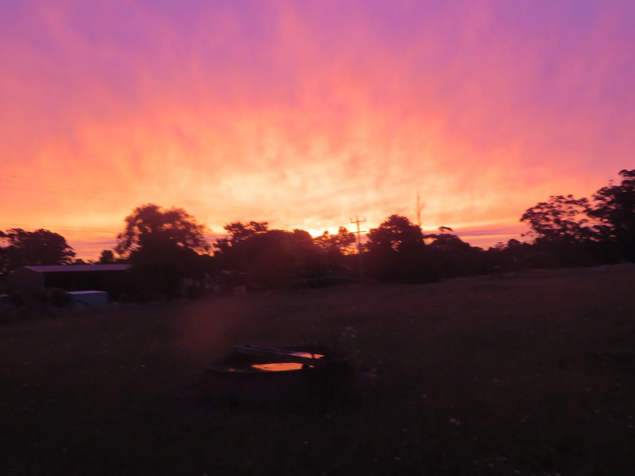 A sunset sky with pink and orange hues over a rural landscape with trees, a utility pole, and a small structure in the distance.