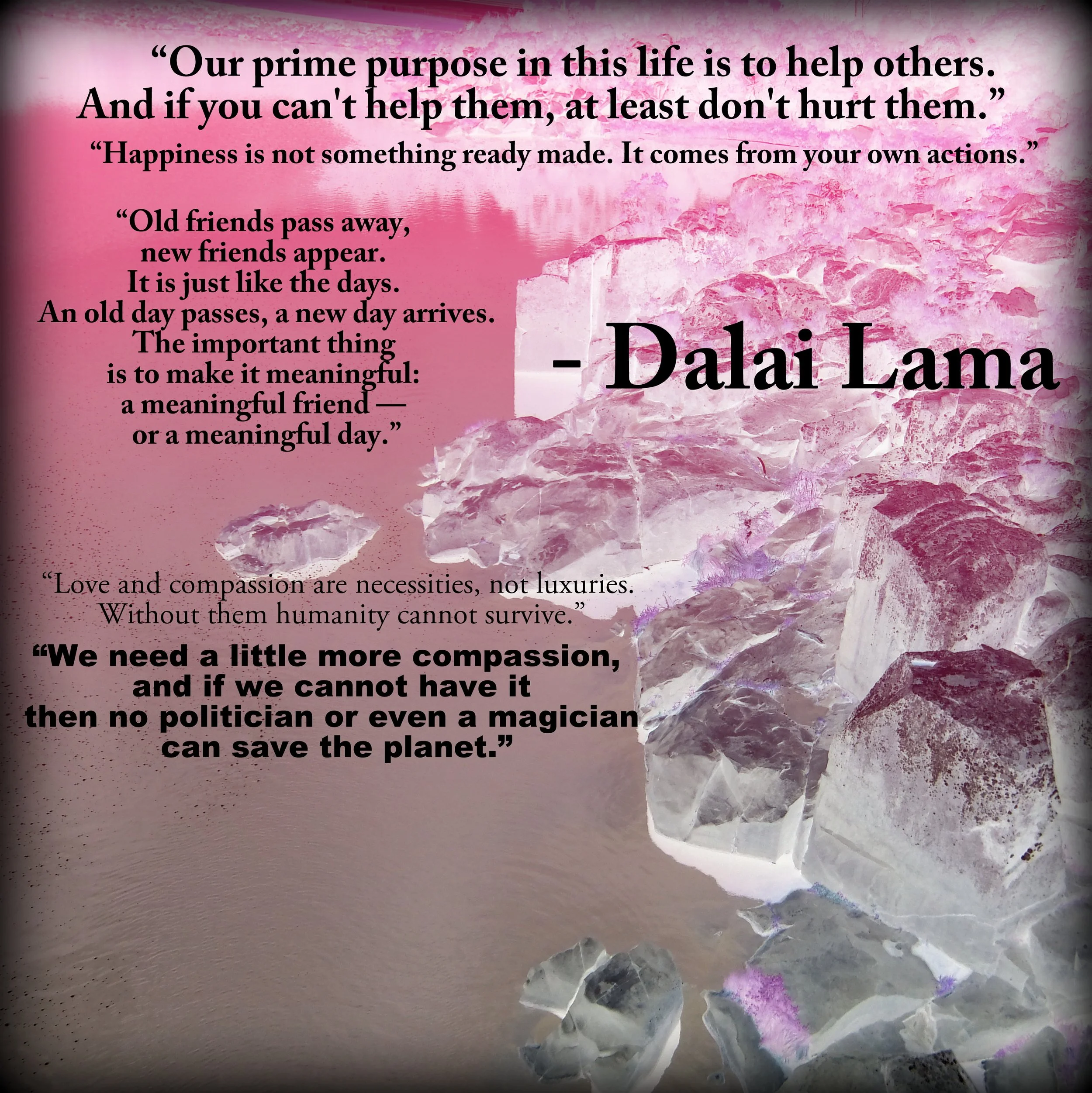 Pink and purple abstract background with rocks and ice, featuring quotes from the Dalai Lama about compassion, happiness, and the importance of caring for others.