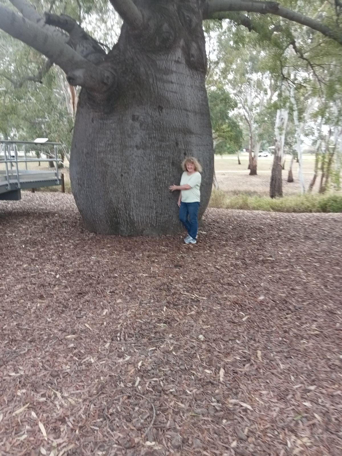 Woman standing next to a large, thick-trunked tree in a park or natural area.
