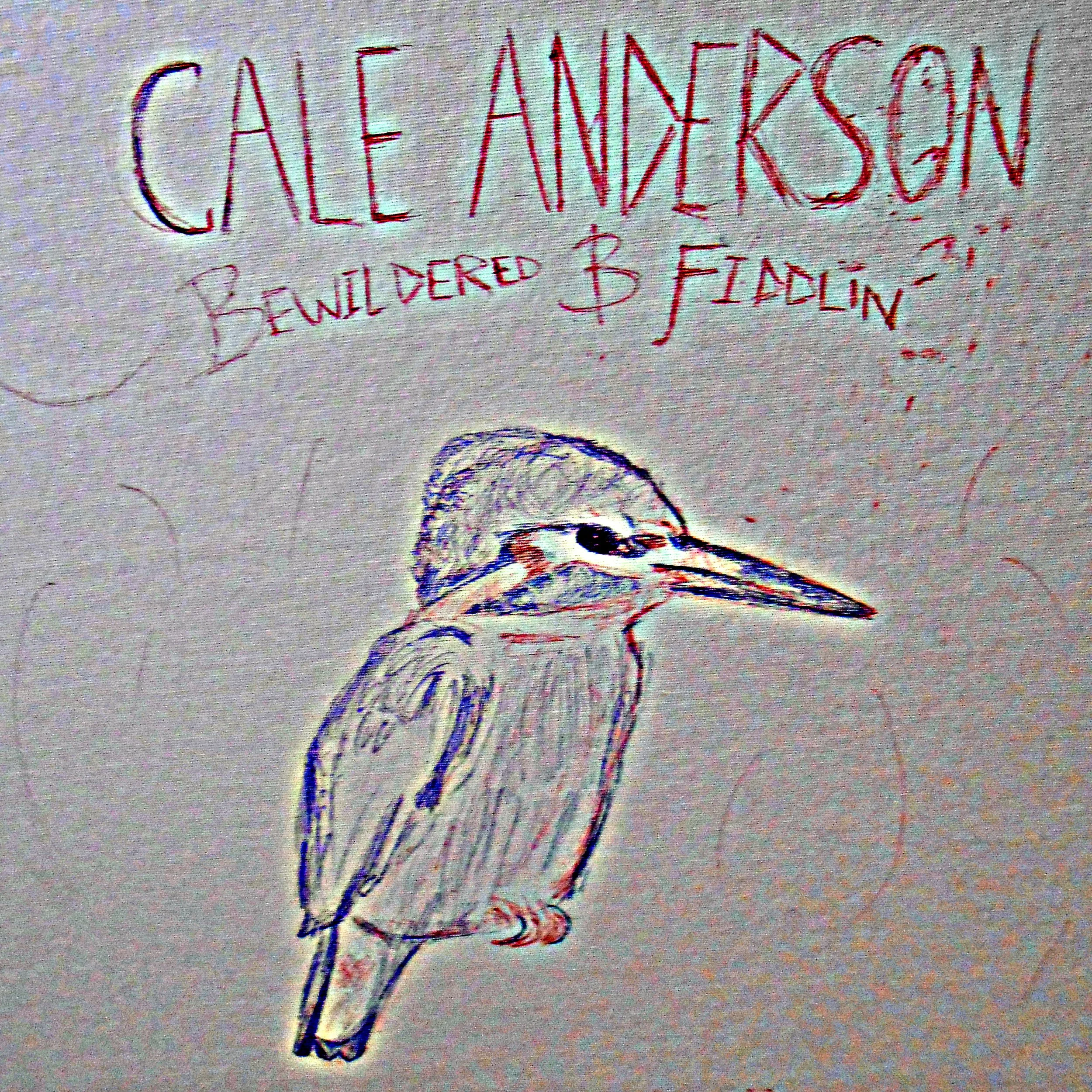 A hand-drawn cartoon kingfisher bird with a long beak, sitting on a branch, with handwritten text above and around it reading 'Cale Amekson' and 'Bewildered & Flaming'.
